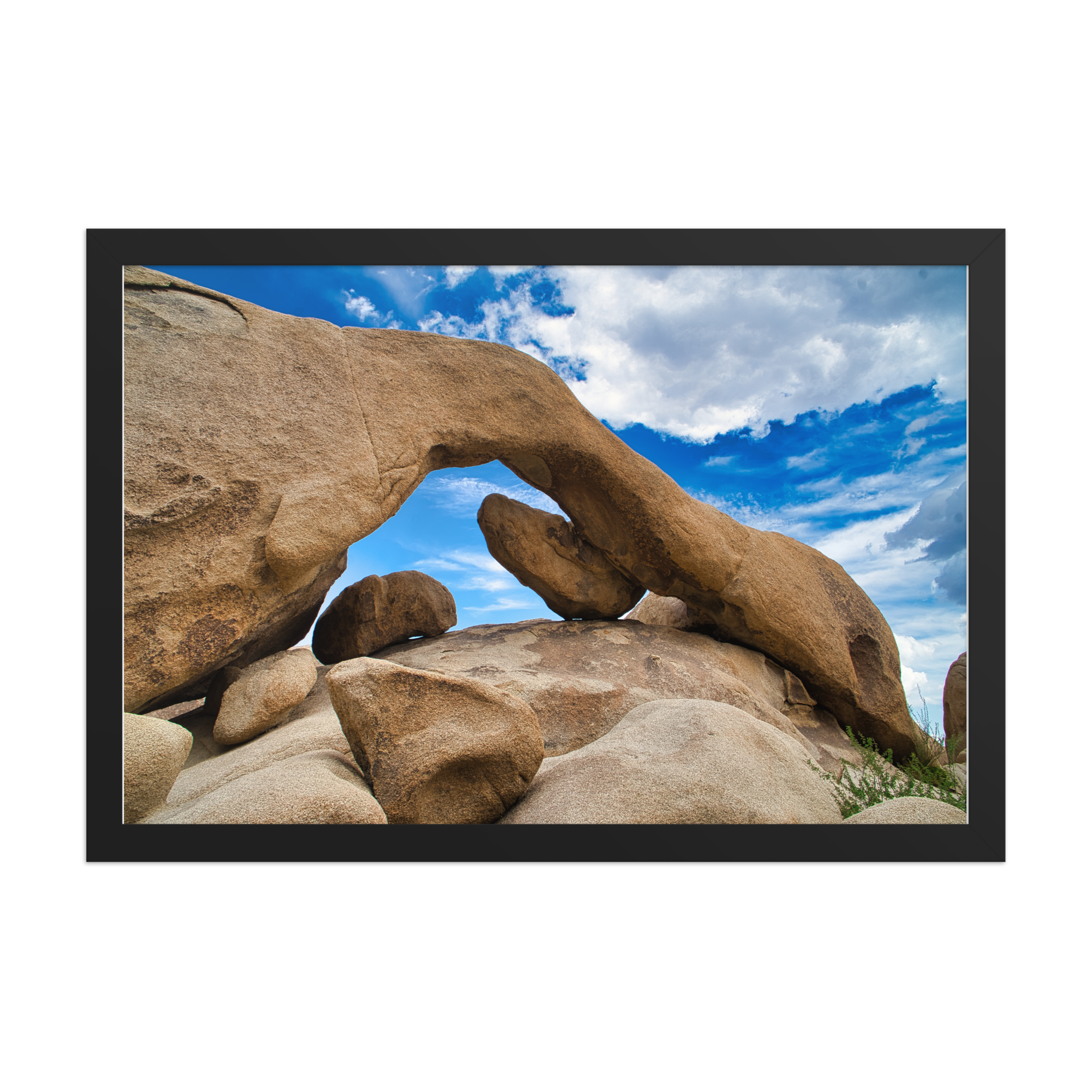 premium-luster-photo-paper-framed-poster-(in)-black-12x18-front-6a1db725008ef.png