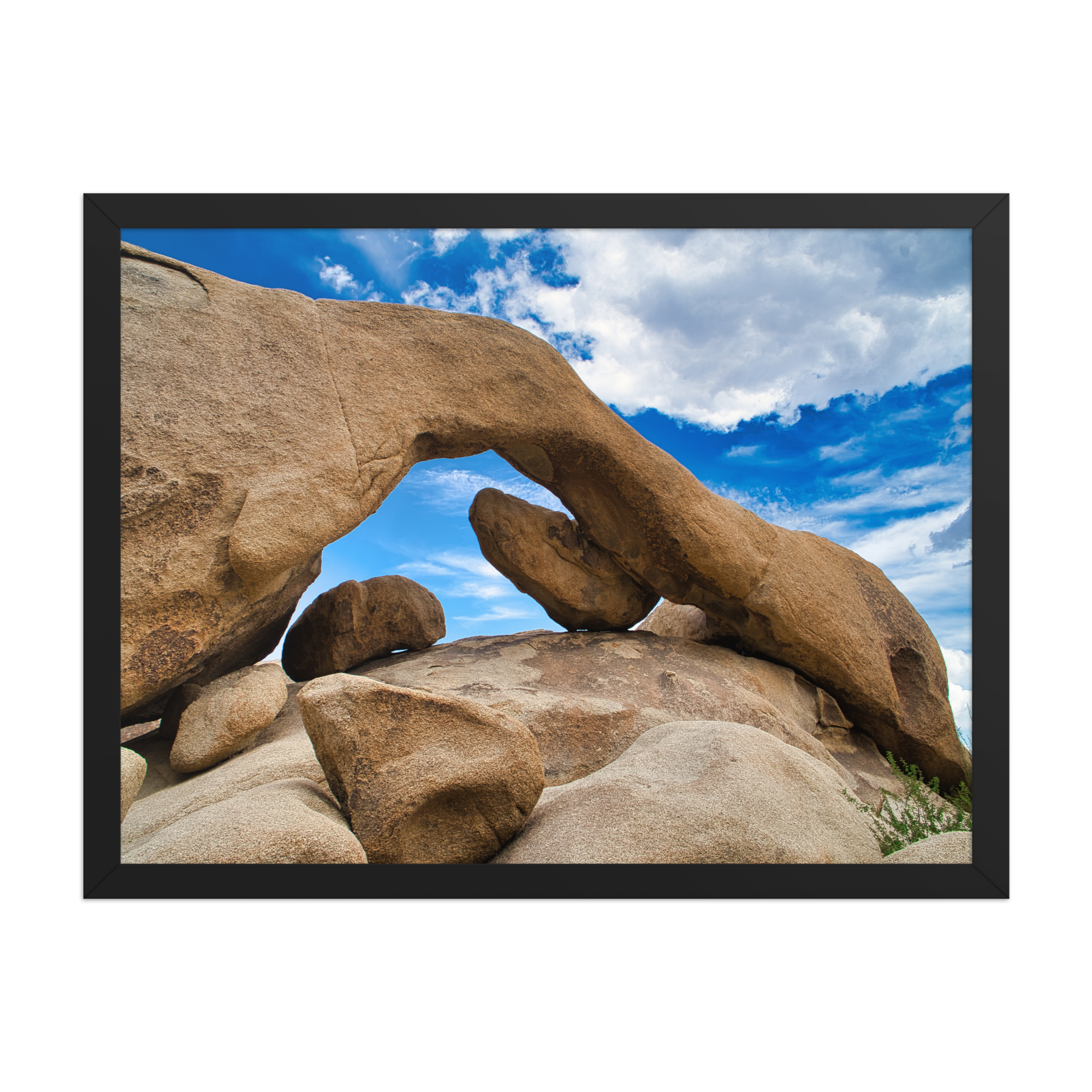 premium-luster-photo-paper-framed-poster-(in)-black-18x24-front-6a1db72500988.png