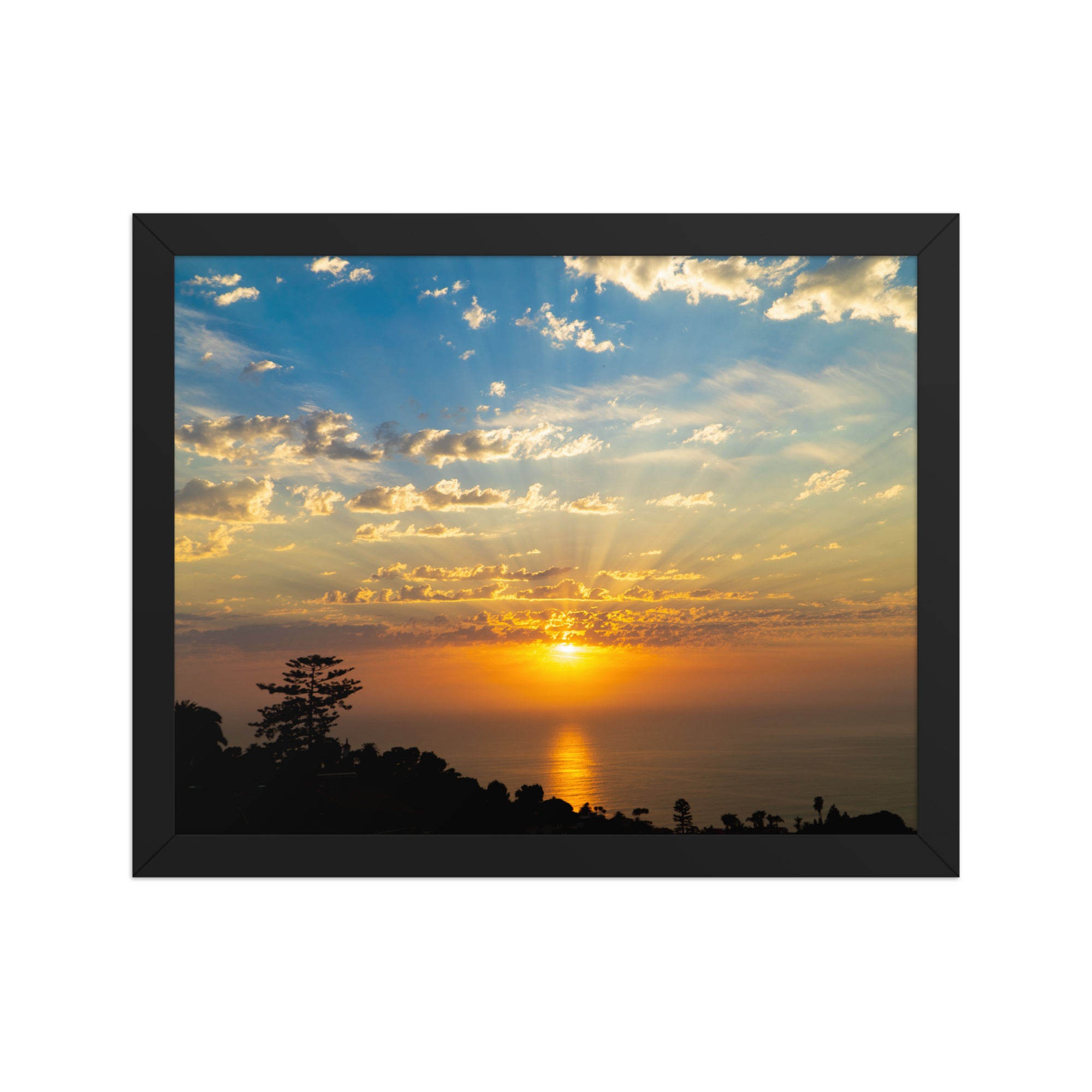 premium-luster-photo-paper-framed-poster-(in)-black-11x14-front-6a1db74aa2390.png