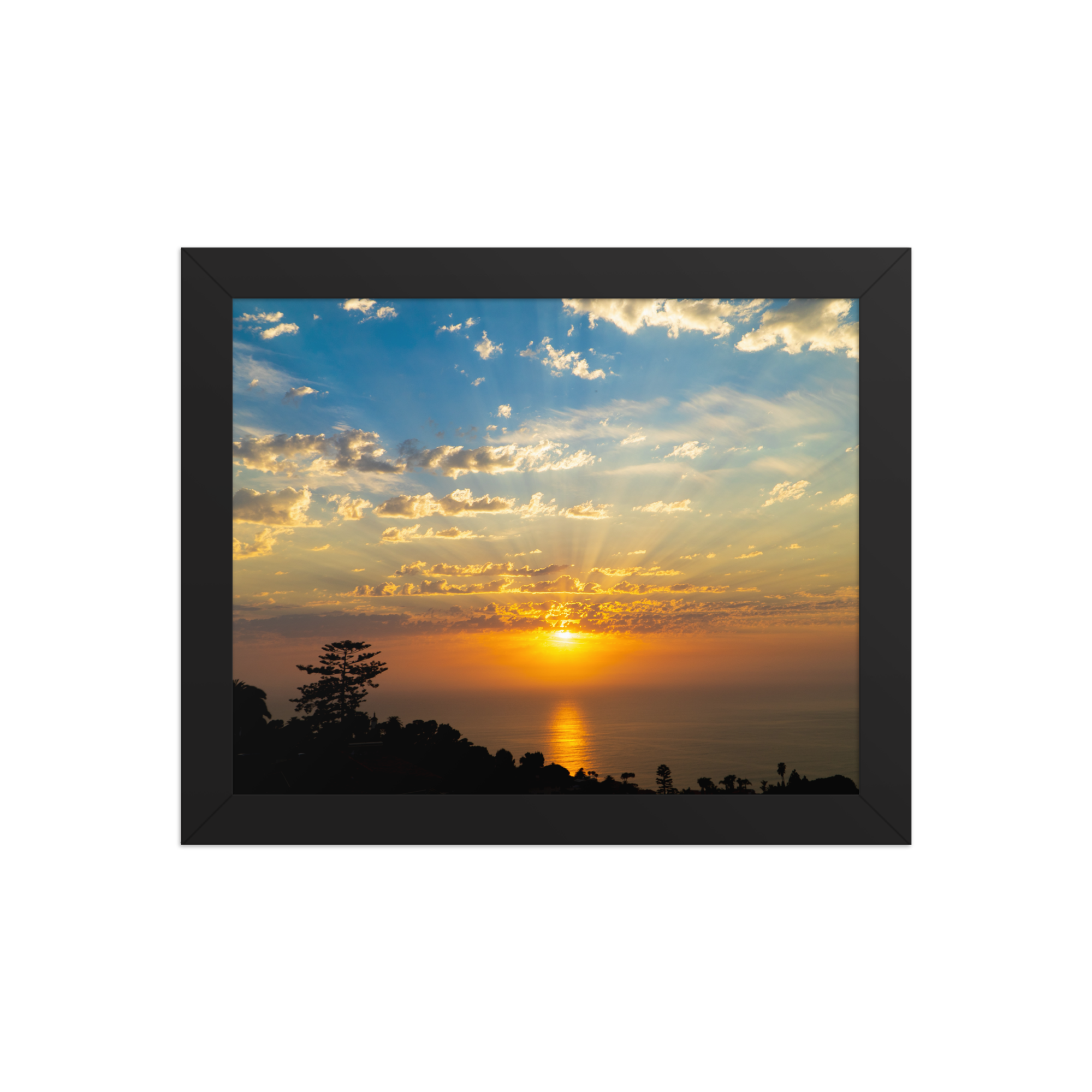 premium-luster-photo-paper-framed-poster-(in)-black-8x10-front-6a1db74aa2e98.png
