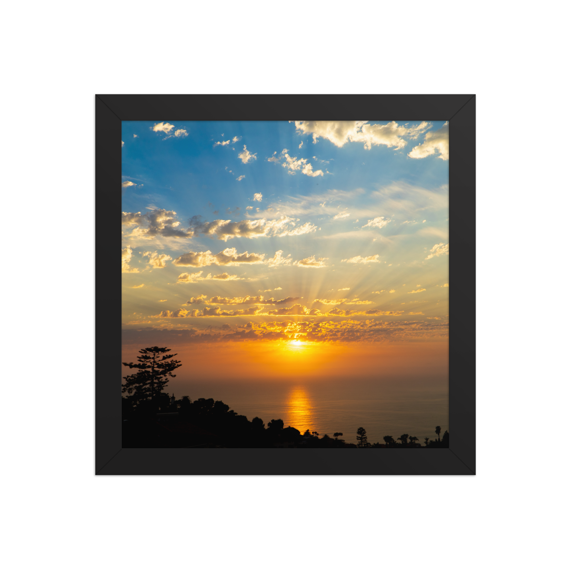 premium-luster-photo-paper-framed-poster-(in)-black-10x10-front-6a1db74aa2f49.png