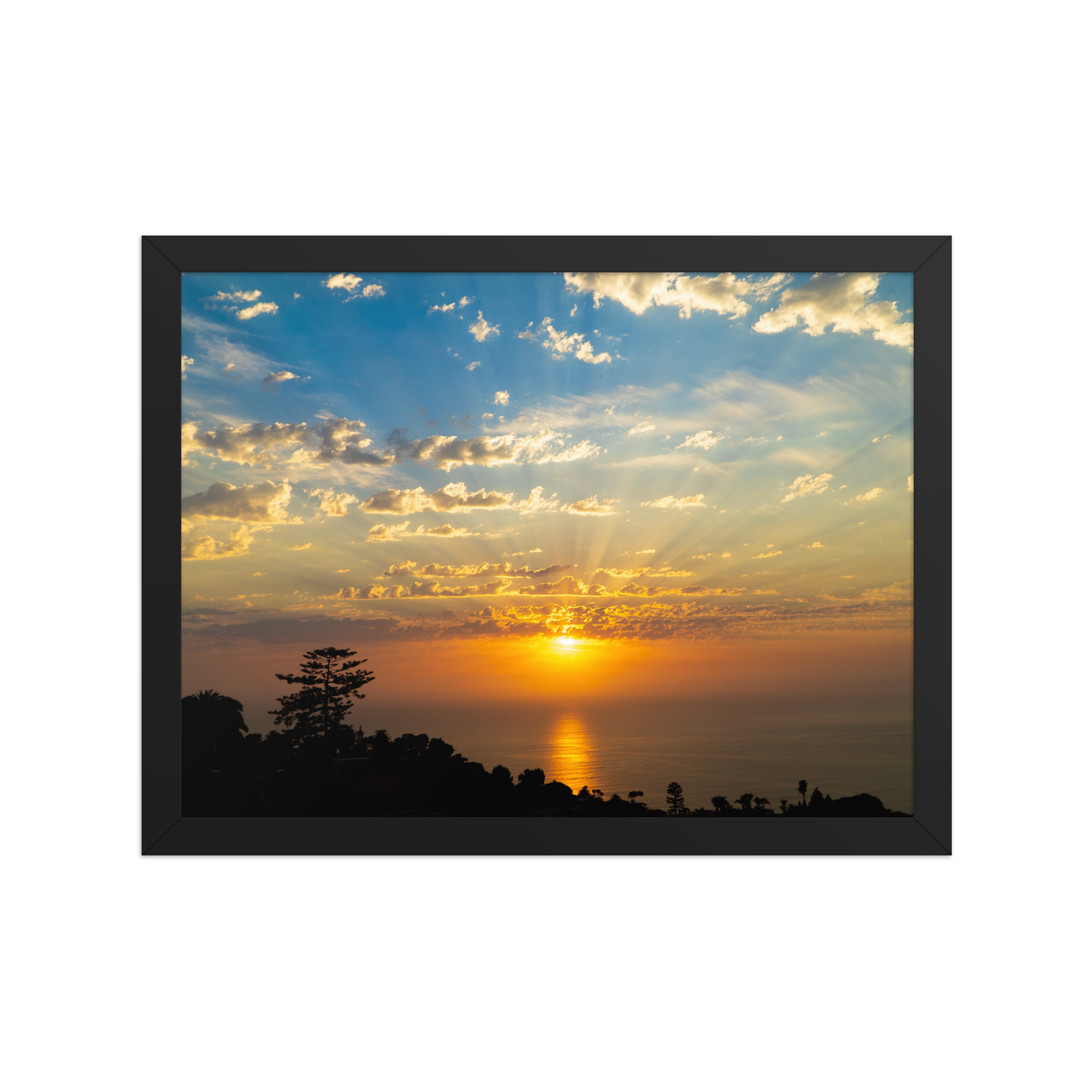 premium-luster-photo-paper-framed-poster-(in)-black-12x16-front-6a1db74aa301c.png