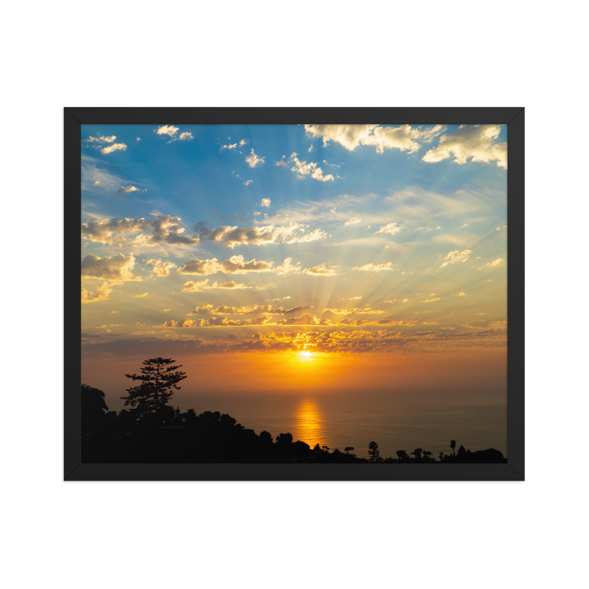 premium-luster-photo-paper-framed-poster-(in)-black-16x20-front-6a1db74aa312f.png