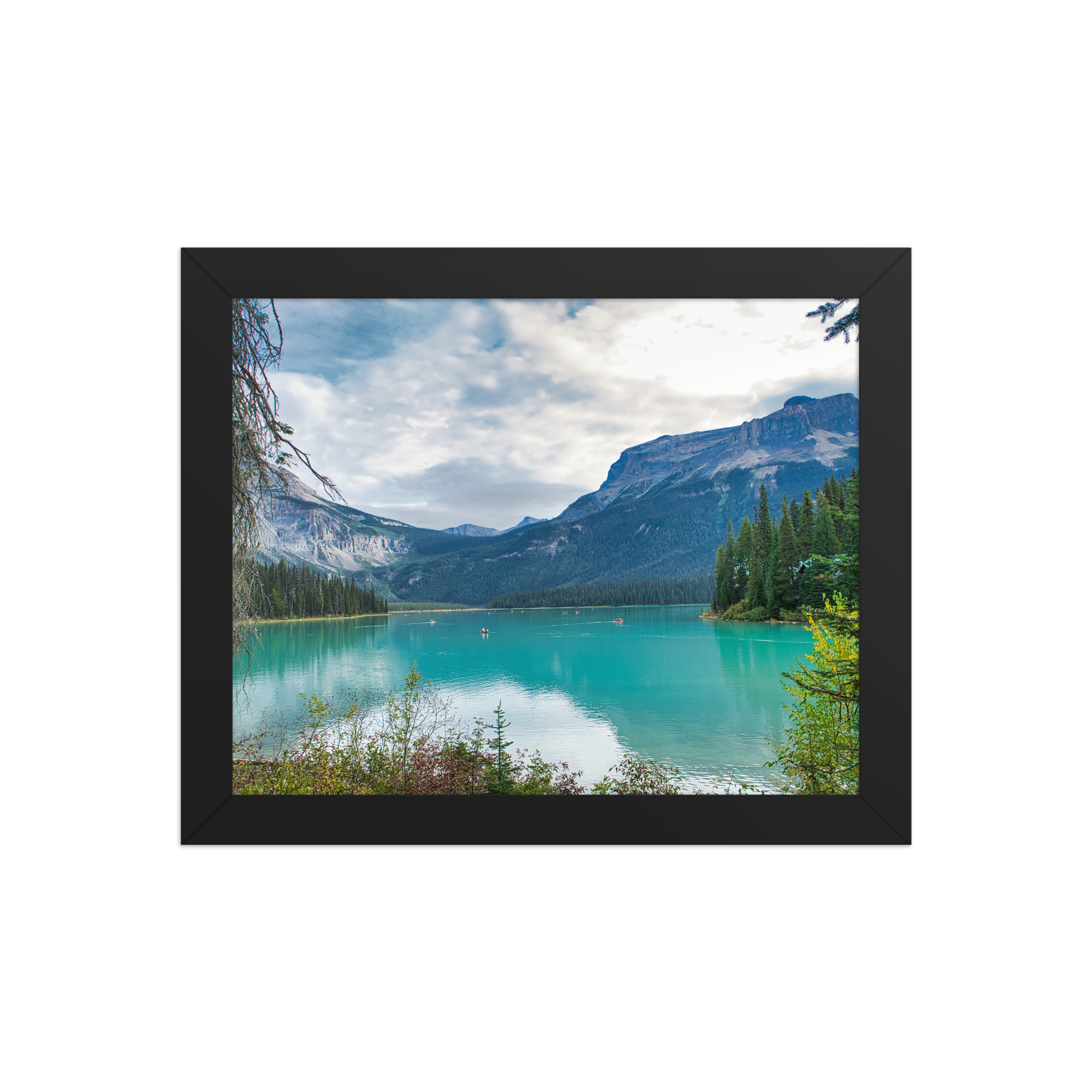 premium-luster-photo-paper-framed-poster-(in)-black-8x10-front-6a1db83aa7a2f.png