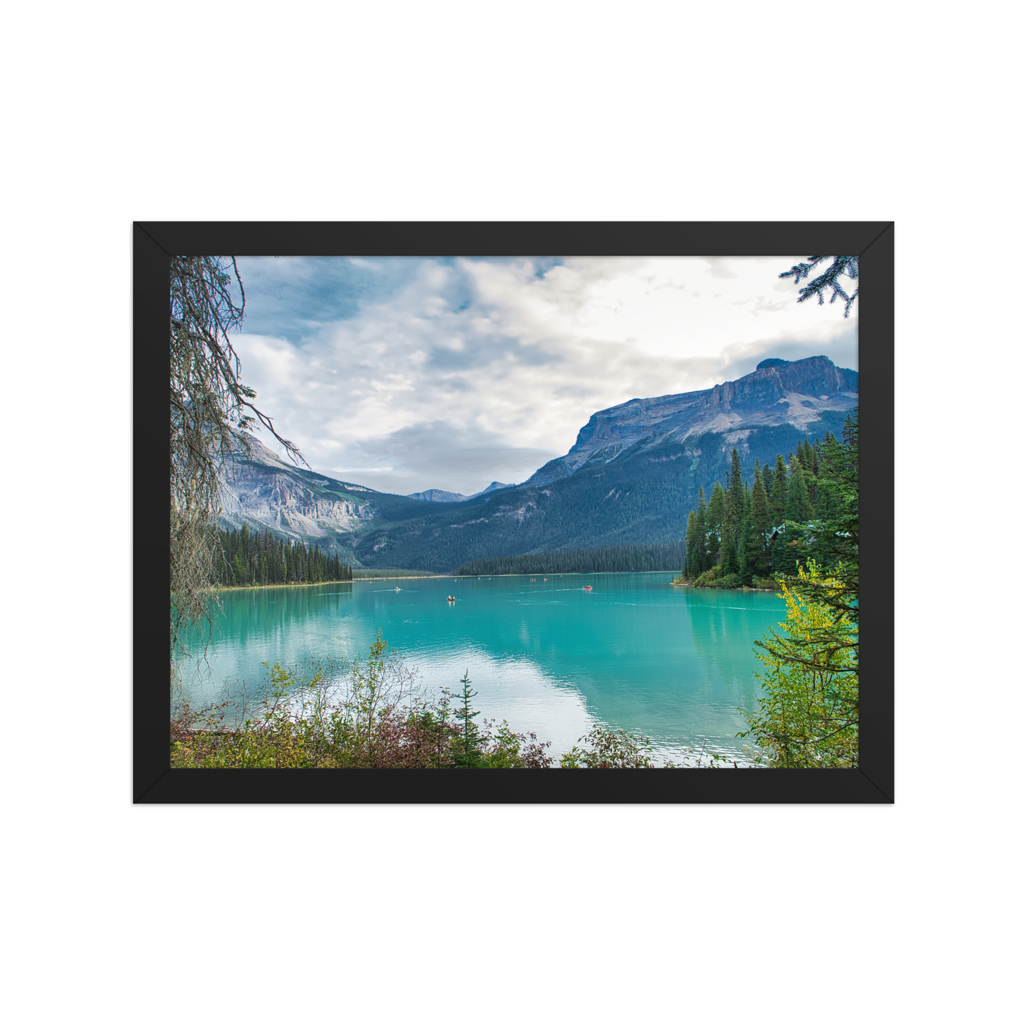 premium-luster-photo-paper-framed-poster-(in)-black-12x16-front-6a1db83aa7c11.png