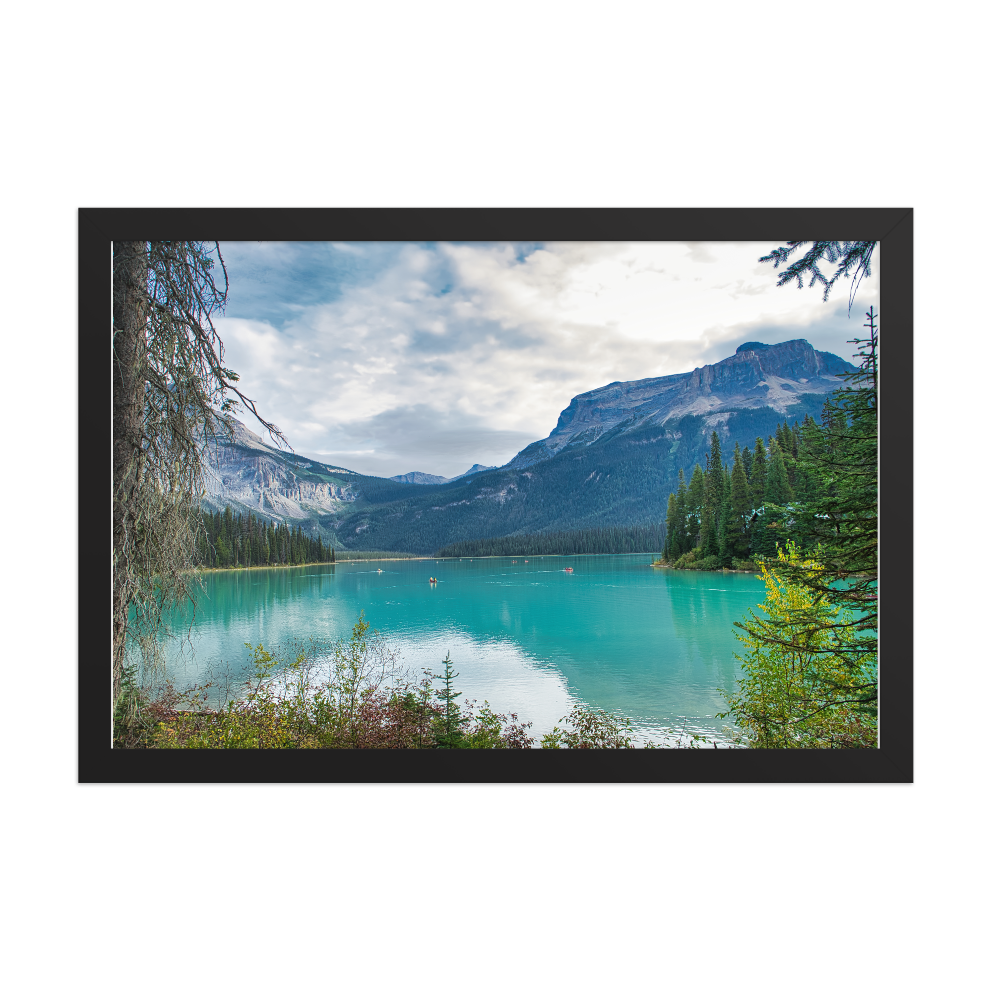 premium-luster-photo-paper-framed-poster-(in)-black-12x18-front-6a1db83aa7d2b.png