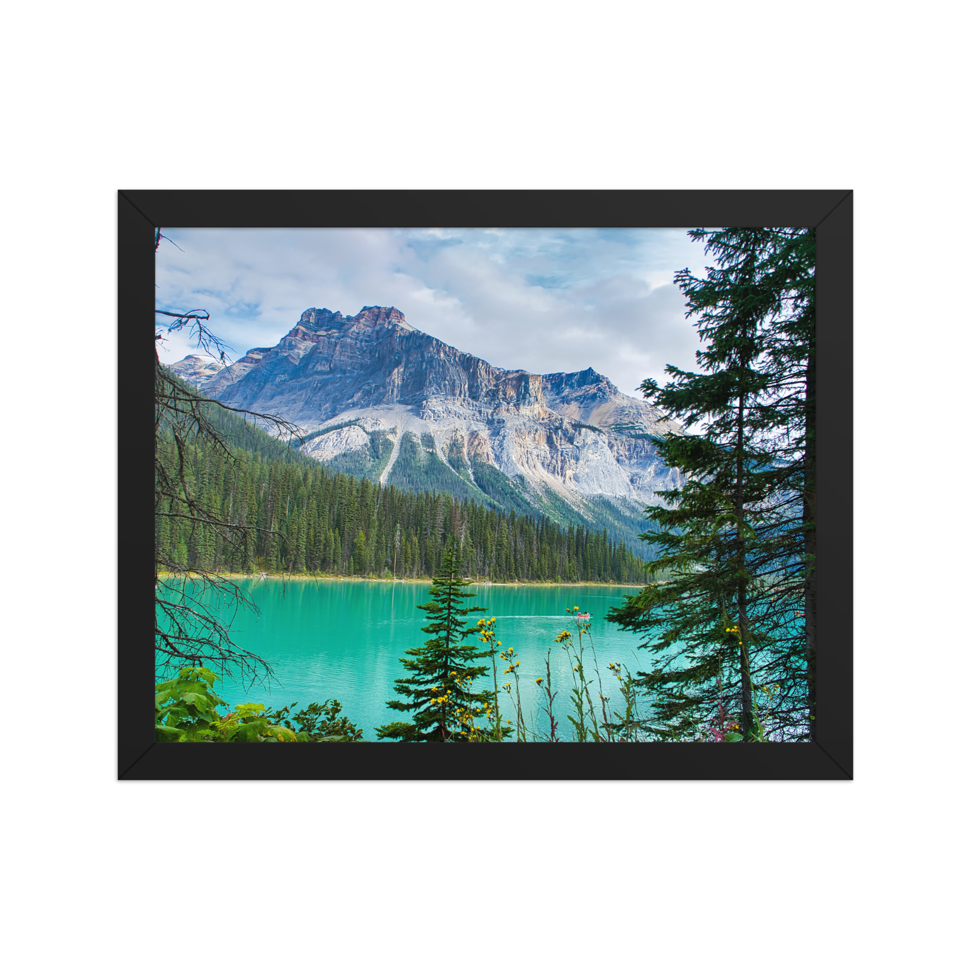 premium-luster-photo-paper-framed-poster-(in)-black-11x14-front-6a1db84e81d15.png