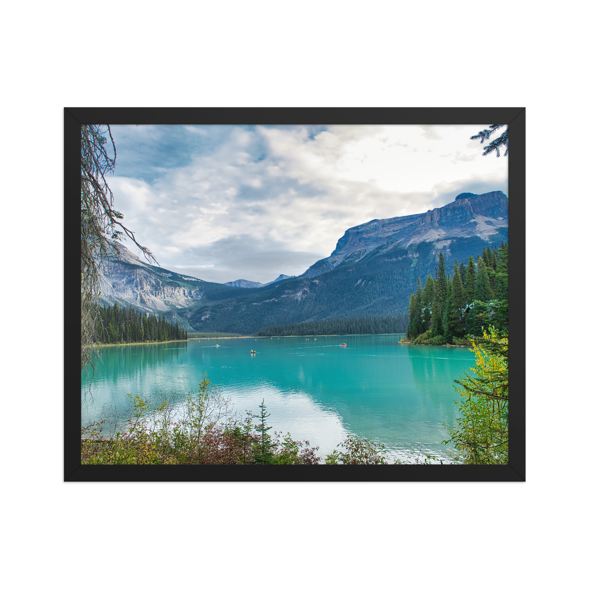 premium-luster-photo-paper-framed-poster-(in)-black-16x20-front-6a1db83aa7e36.png