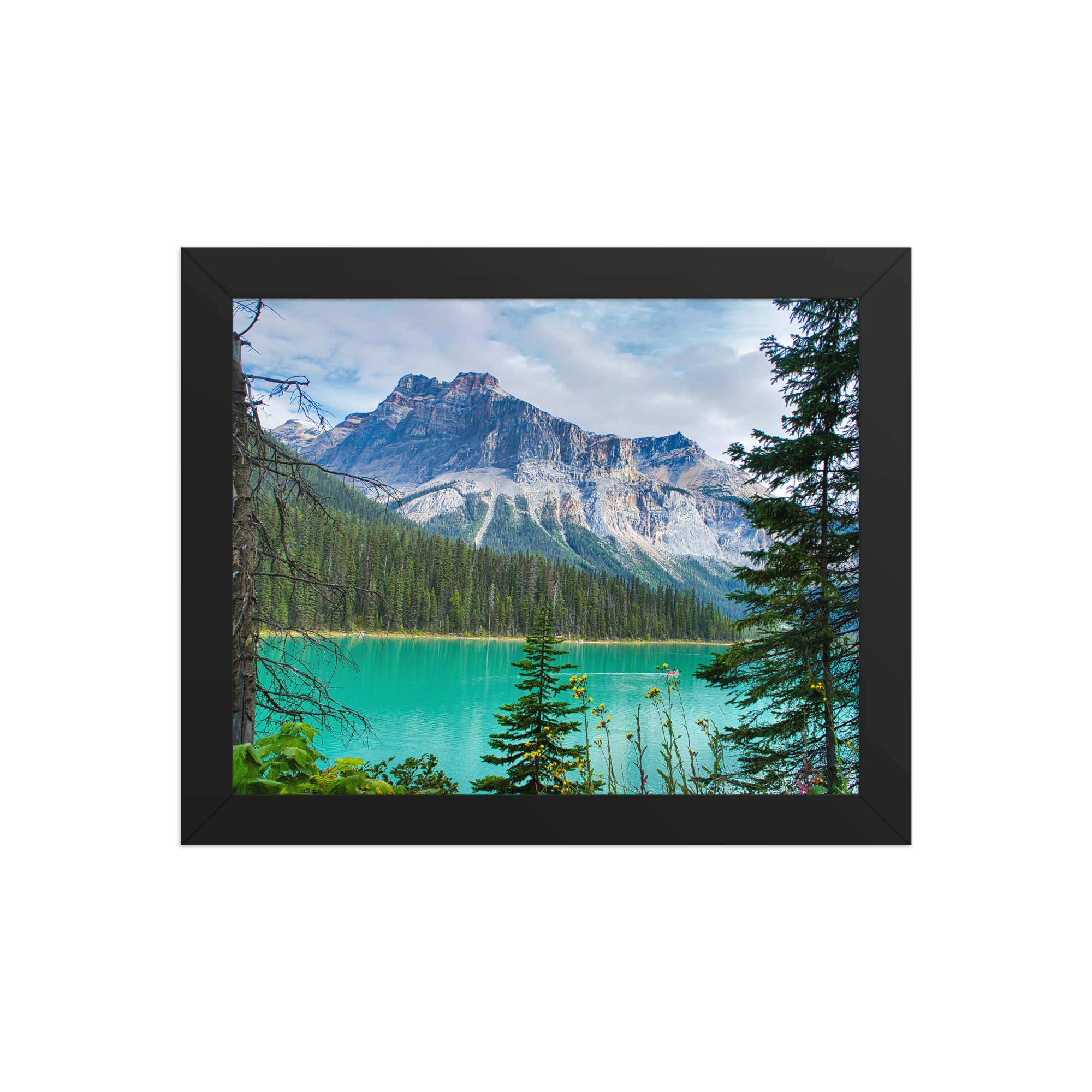 premium-luster-photo-paper-framed-poster-(in)-black-8x10-front-6a1db84e831b9.png