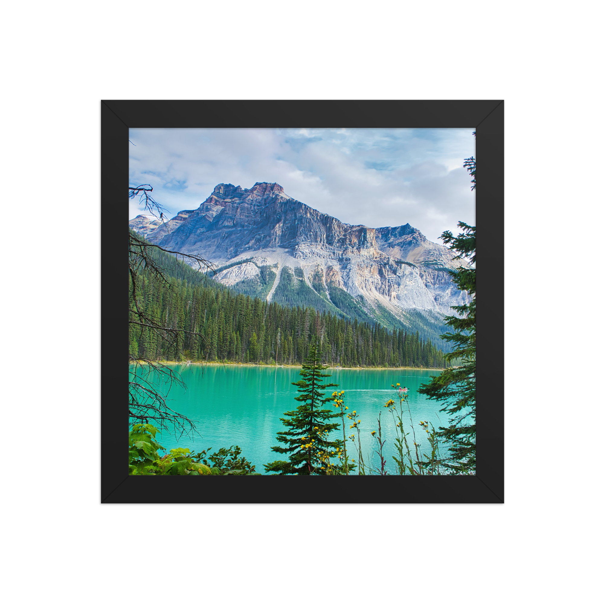 premium-luster-photo-paper-framed-poster-(in)-black-10x10-front-6a1db84e832ae.png