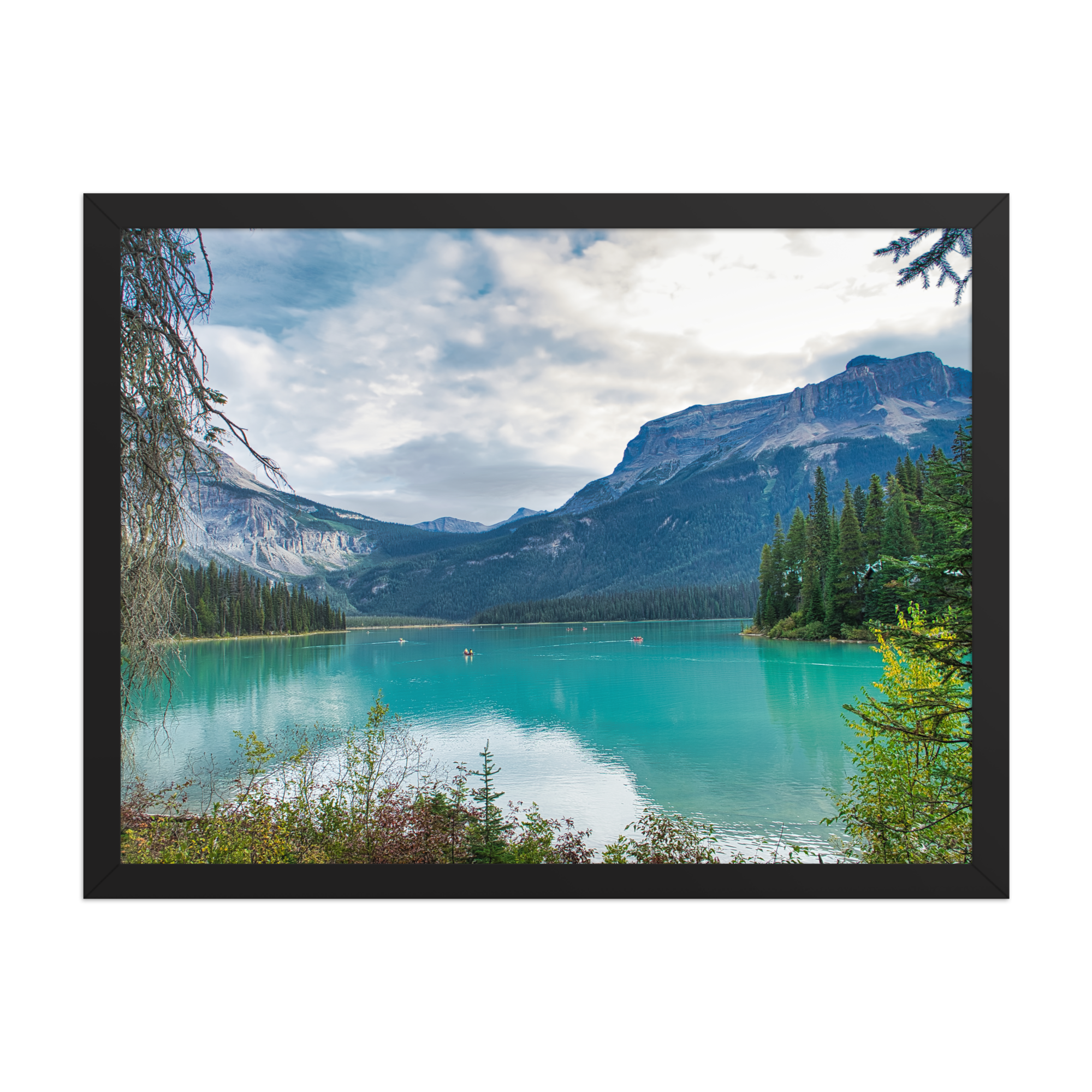 premium-luster-photo-paper-framed-poster-(in)-black-18x24-front-6a1db83aa7f62.png
