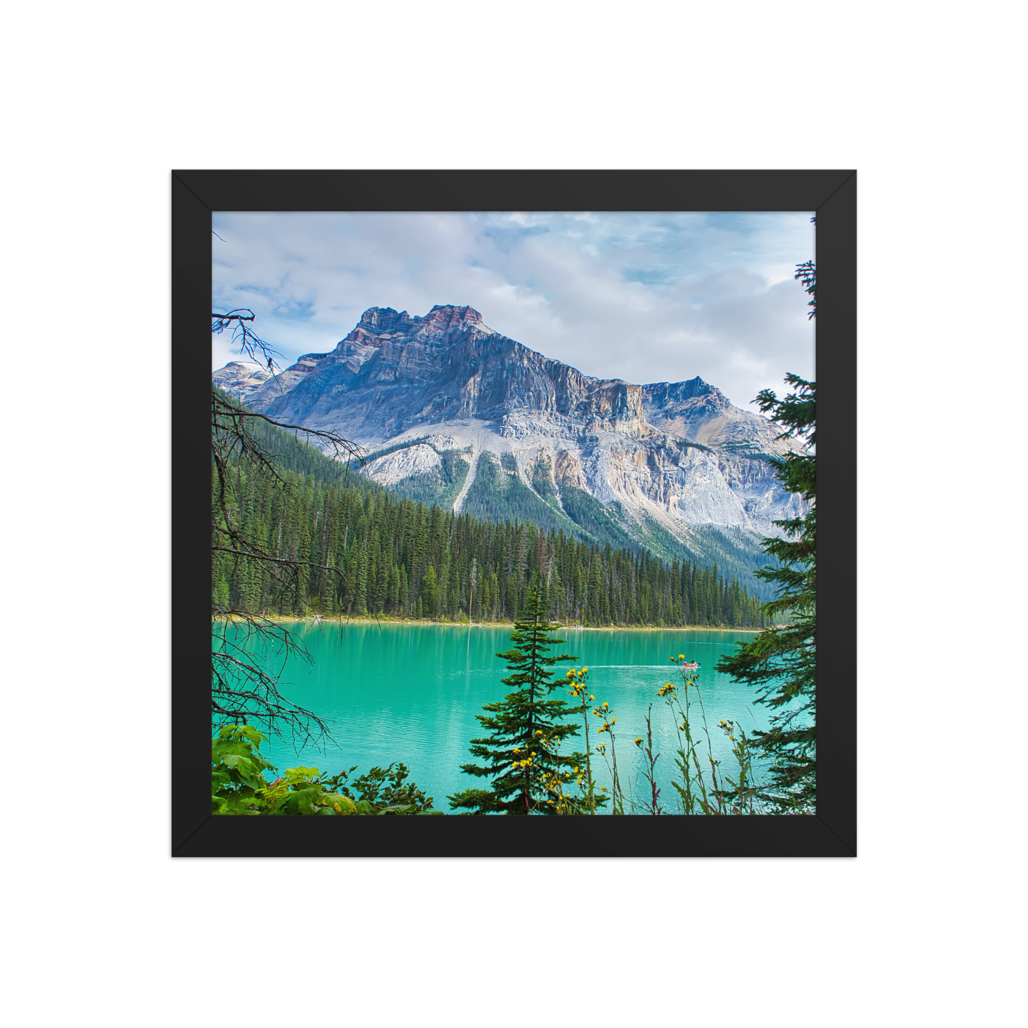 premium-luster-photo-paper-framed-poster-(in)-black-12x12-front-6a1db84e83406.png