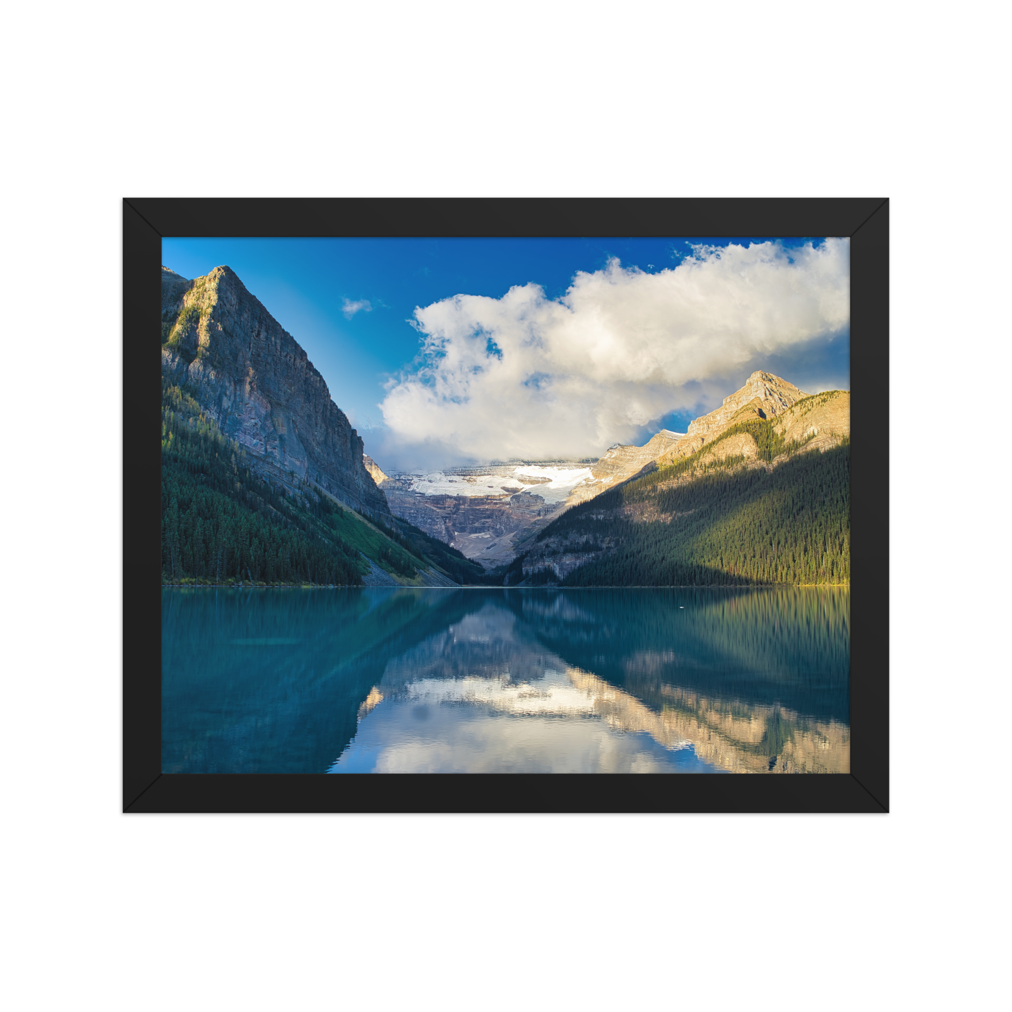 premium-luster-photo-paper-framed-poster-(in)-black-11x14-front-6a1db8620cb51.png