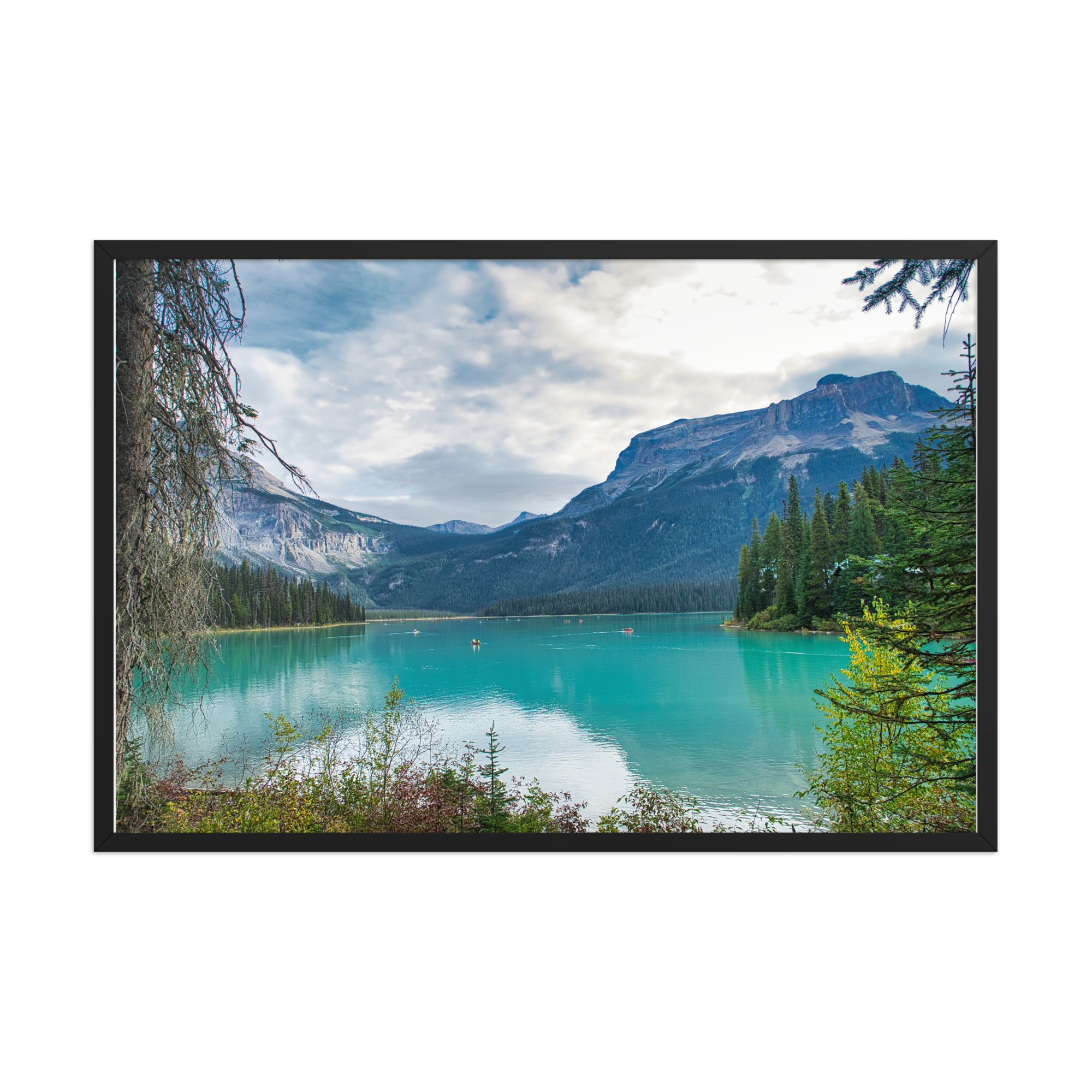 premium-luster-photo-paper-framed-poster-(in)-black-24x36-front-6a1db83aa8077.png