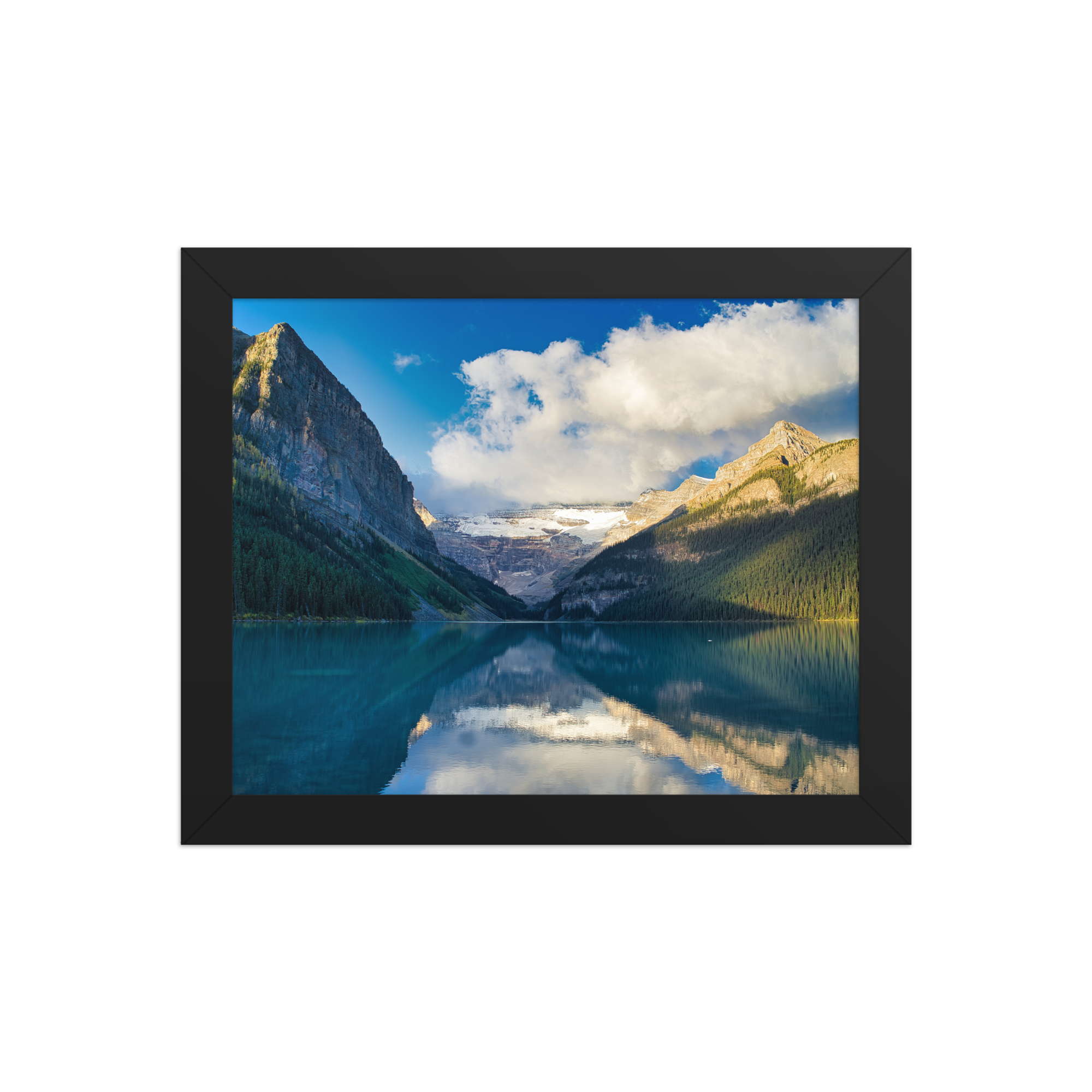 premium-luster-photo-paper-framed-poster-(in)-black-8x10-front-6a1db8620da1e.png