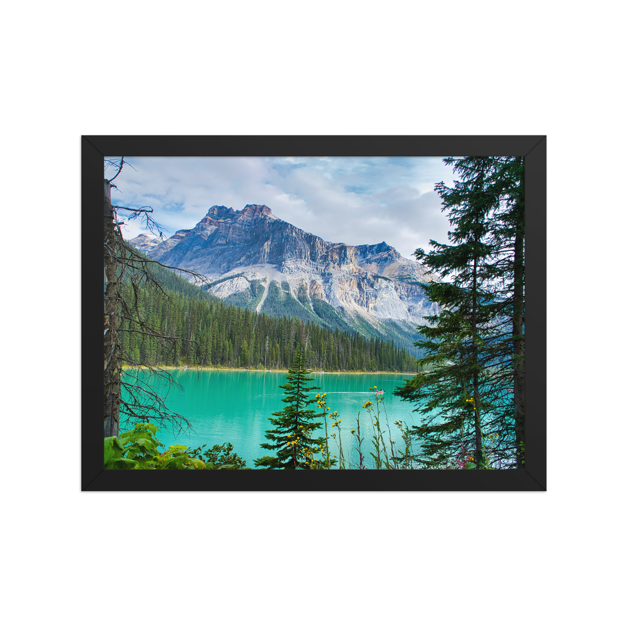 premium-luster-photo-paper-framed-poster-(in)-black-12x16-front-6a1db84e8350f.png