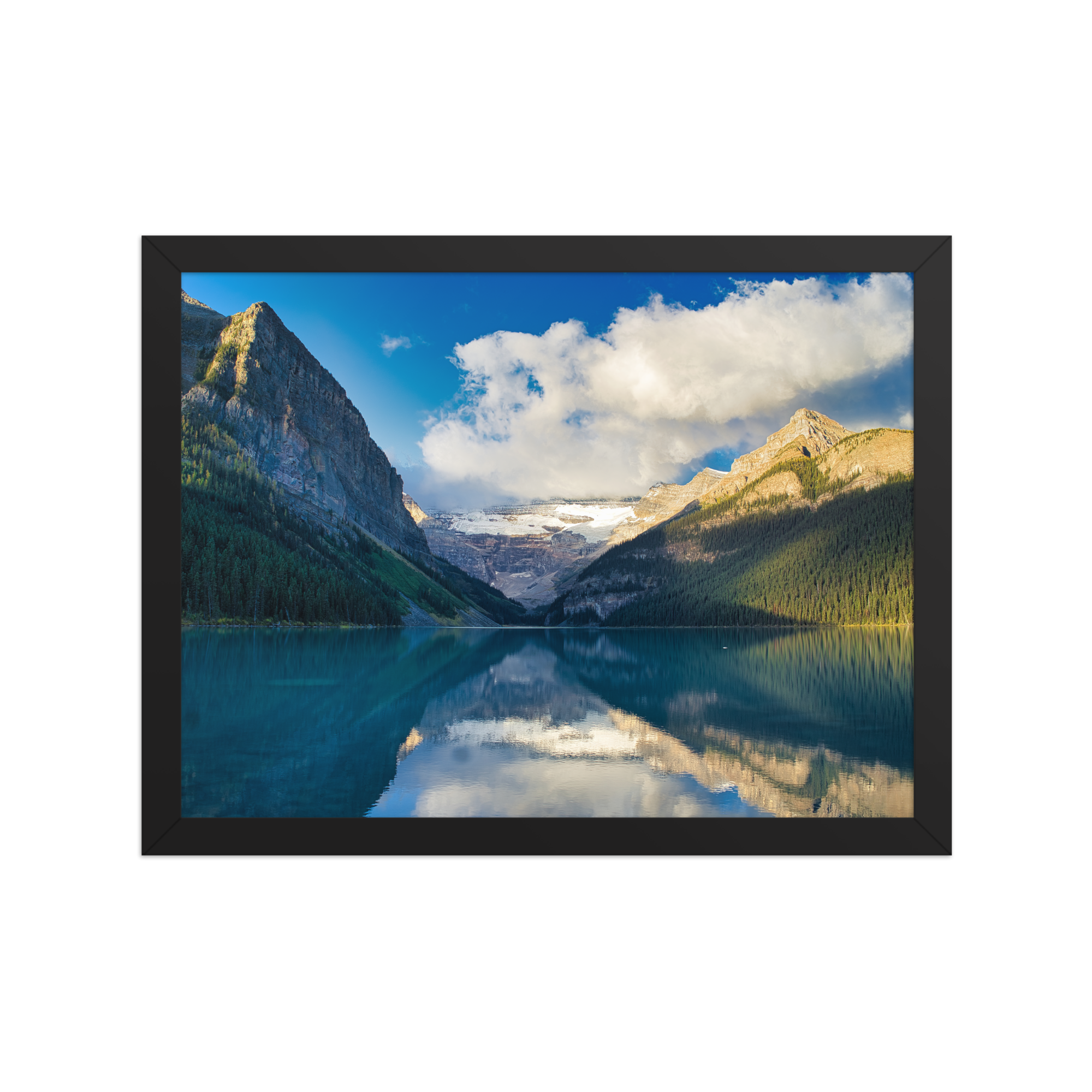 premium-luster-photo-paper-framed-poster-(in)-black-12x16-front-6a1db8620dbad.png