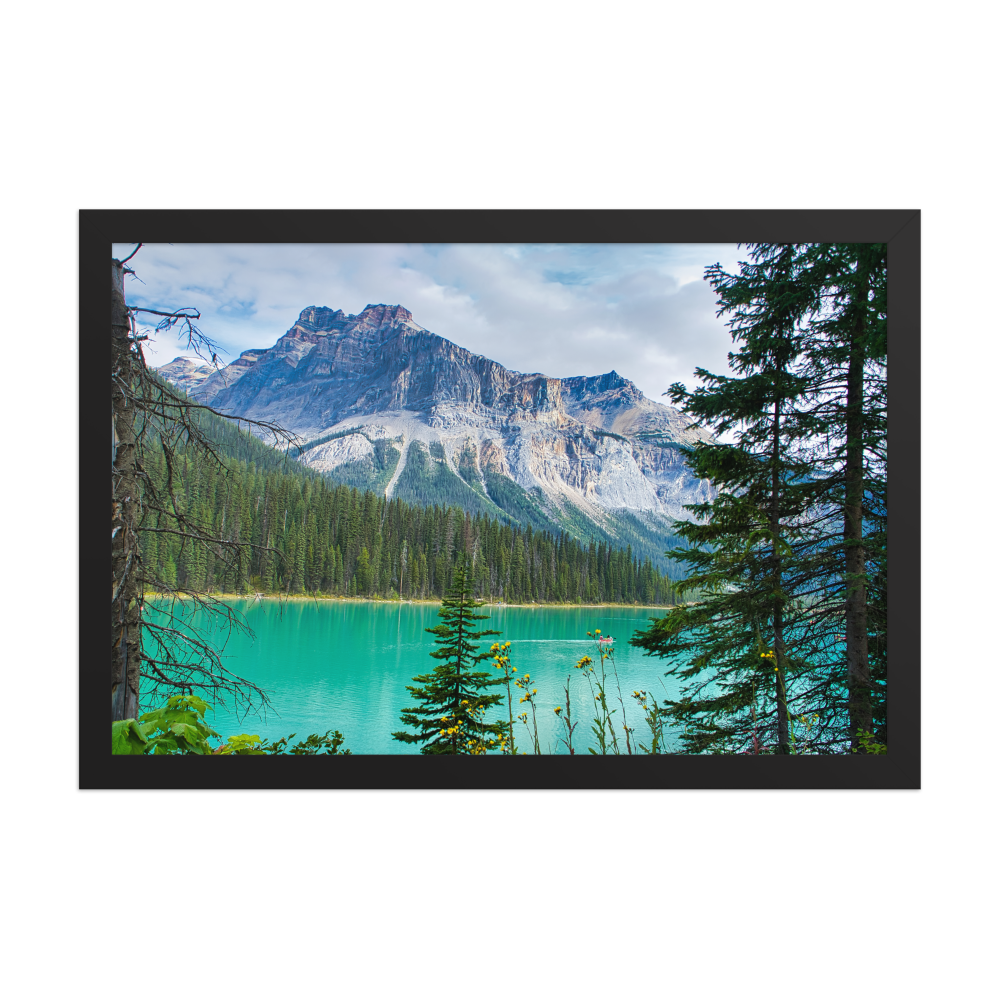 premium-luster-photo-paper-framed-poster-(in)-black-12x18-front-6a1db84e835be.png