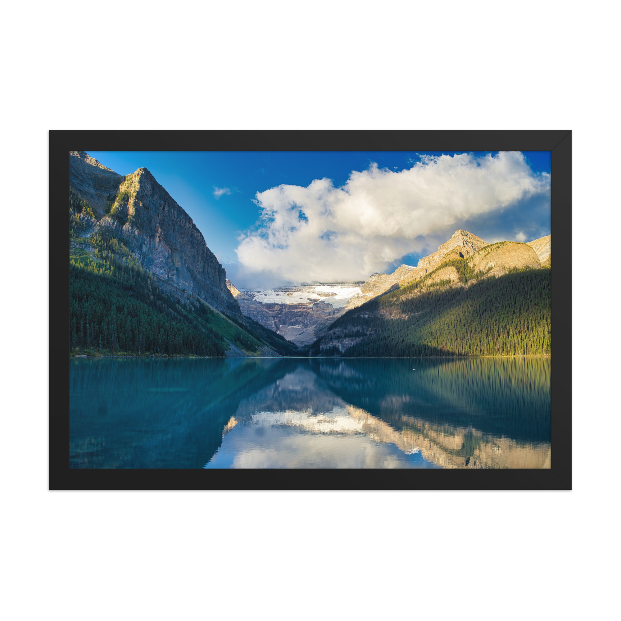 premium-luster-photo-paper-framed-poster-(in)-black-12x18-front-6a1db8620dca8.png
