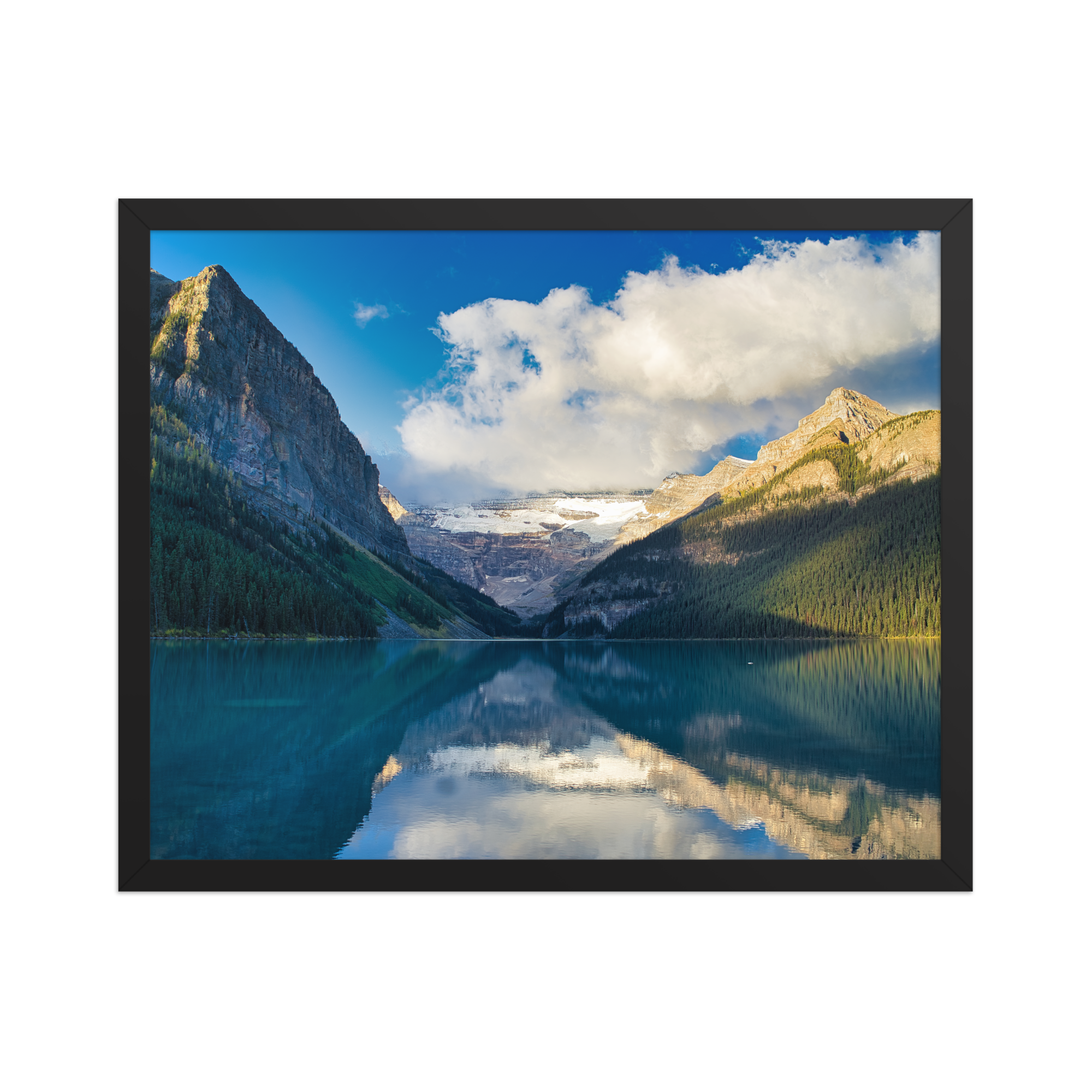 premium-luster-photo-paper-framed-poster-(in)-black-16x20-front-6a1db8620dda4.png