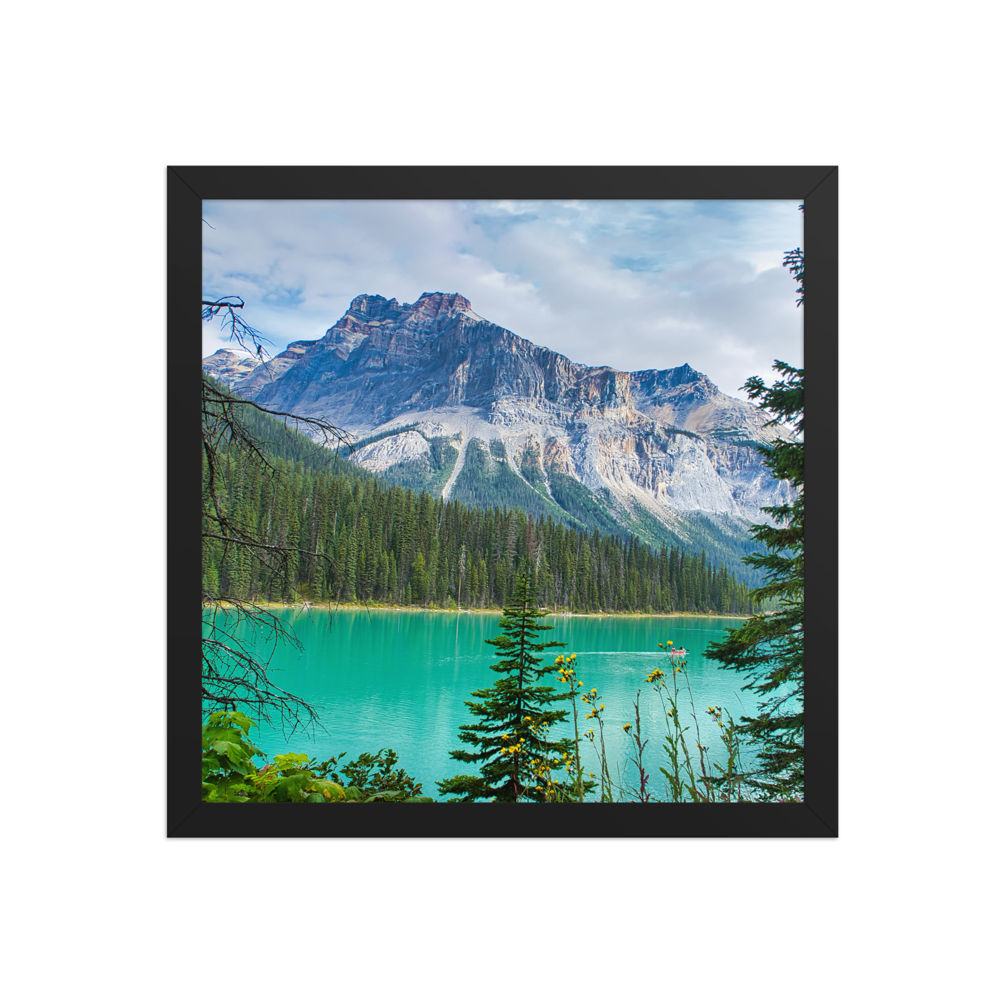 premium-luster-photo-paper-framed-poster-(in)-black-14x14-front-6a1db84e836b8.png
