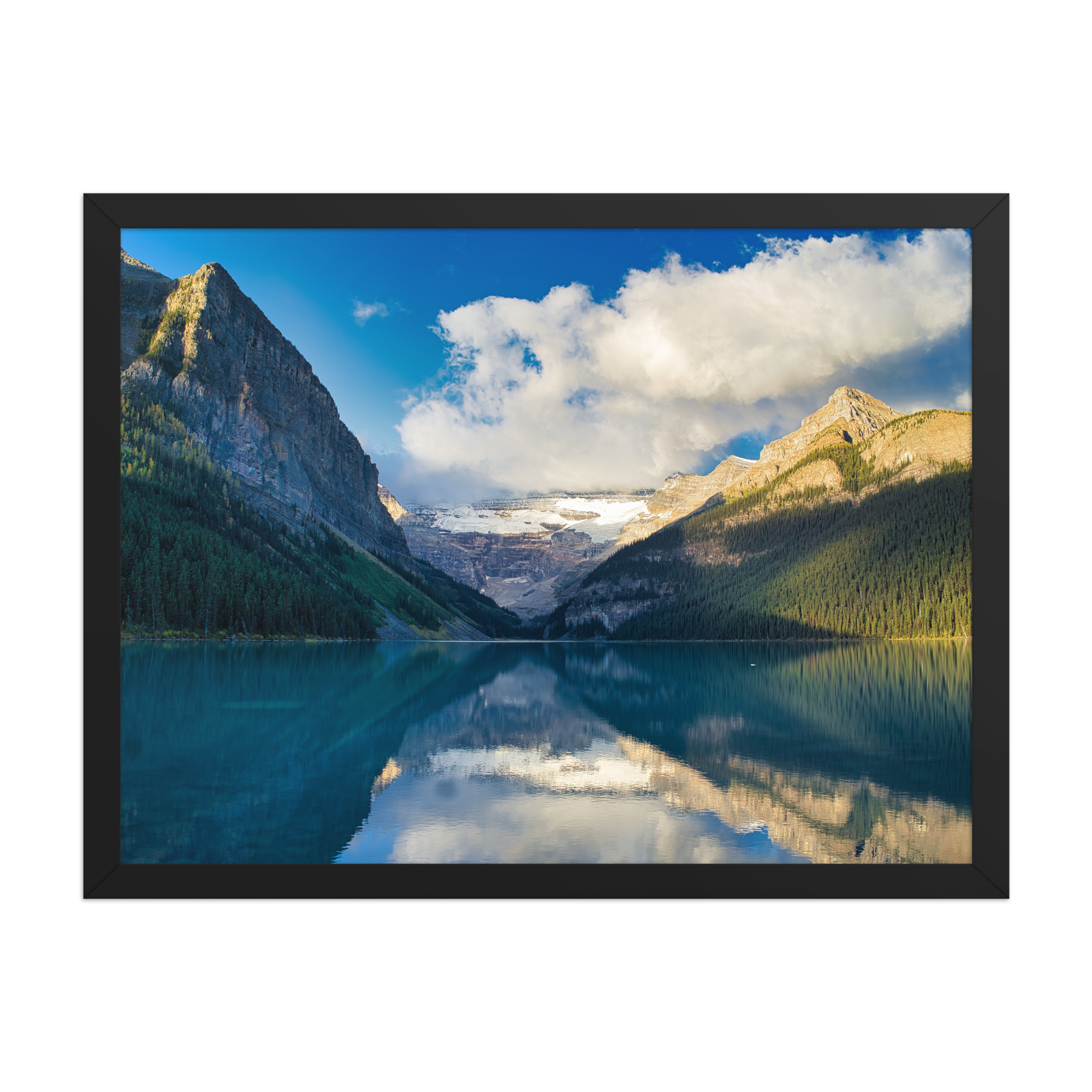 premium-luster-photo-paper-framed-poster-(in)-black-18x24-front-6a1db8620de99.png