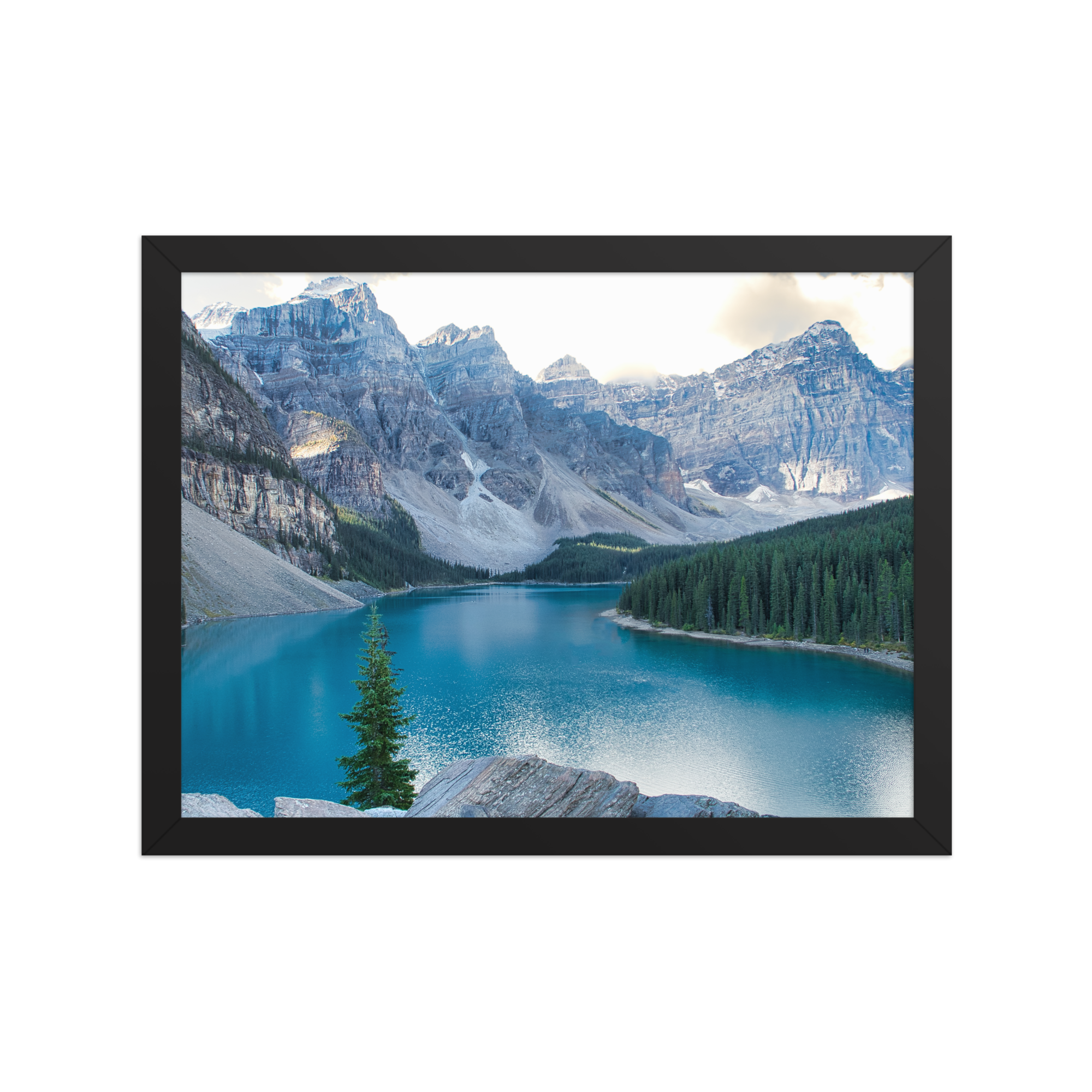 premium-luster-photo-paper-framed-poster-(in)-black-12x16-front-6a1db87444cf1.png