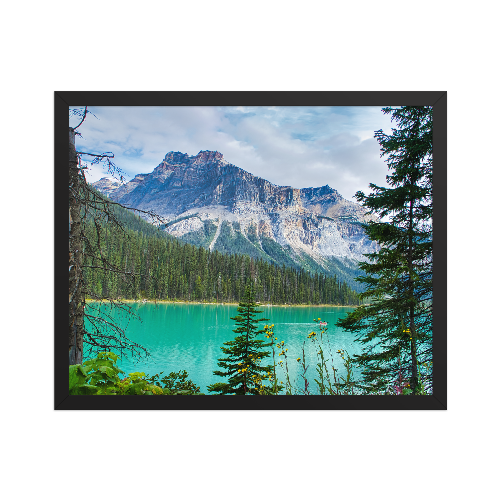 premium-luster-photo-paper-framed-poster-(in)-black-16x20-front-6a1db84e83840.png