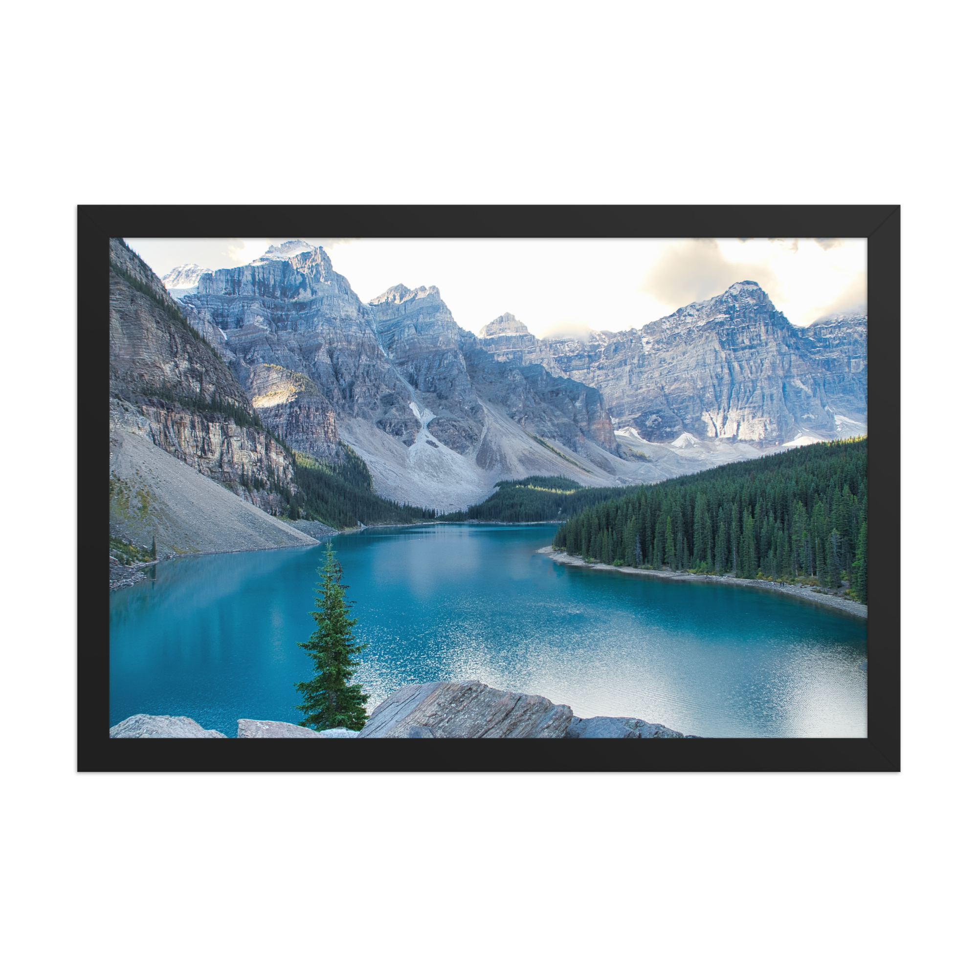 premium-luster-photo-paper-framed-poster-(in)-black-12x18-front-6a1db87444d8a.png