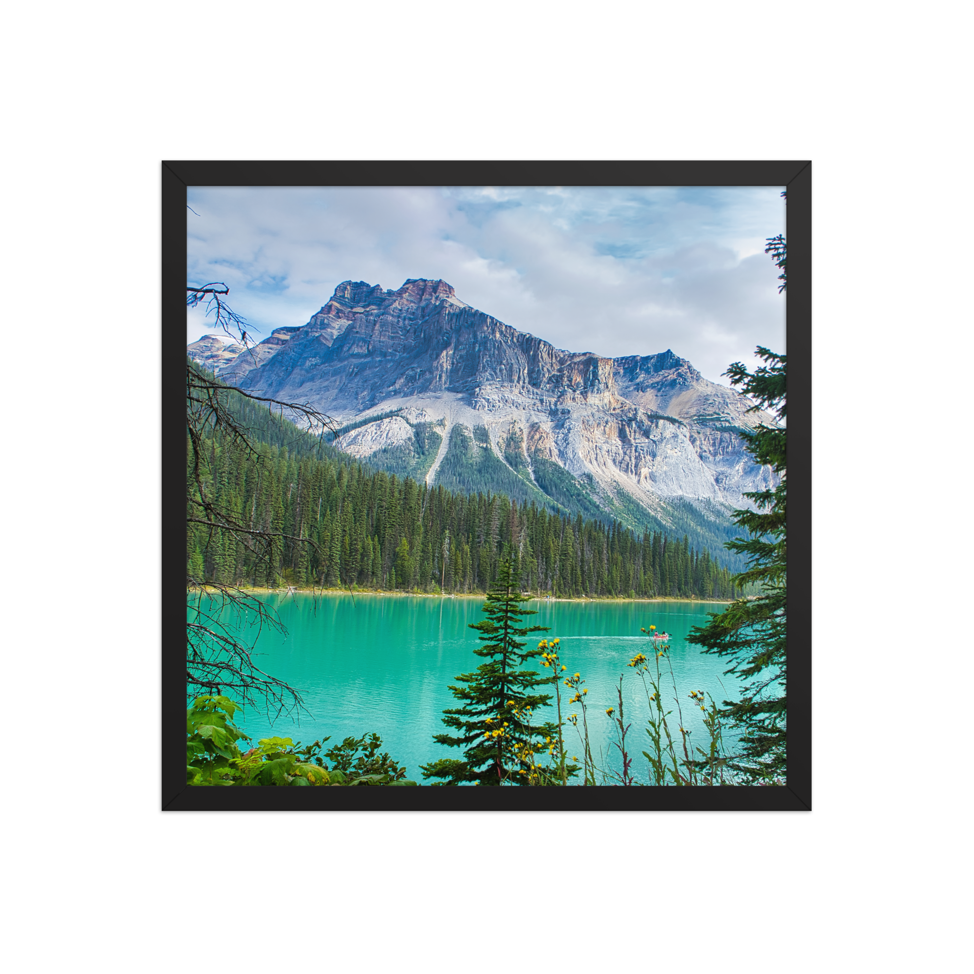 premium-luster-photo-paper-framed-poster-(in)-black-18x18-front-6a1db84e8393b.png