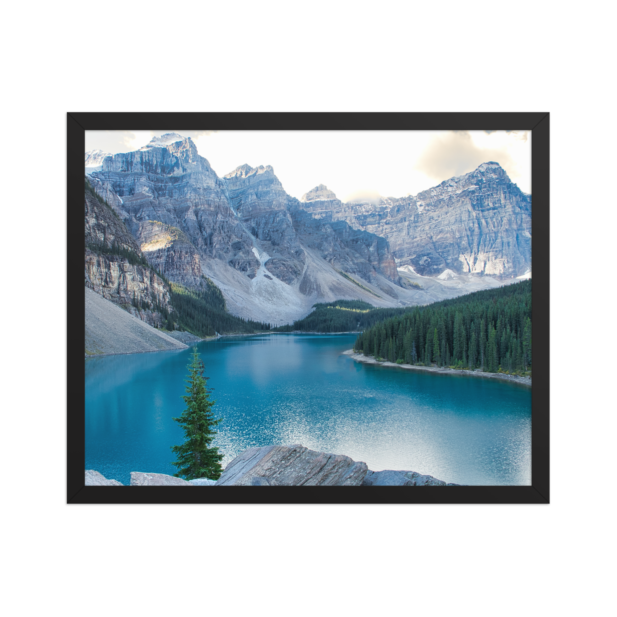 premium-luster-photo-paper-framed-poster-(in)-black-16x20-front-6a1db87444e1c.png