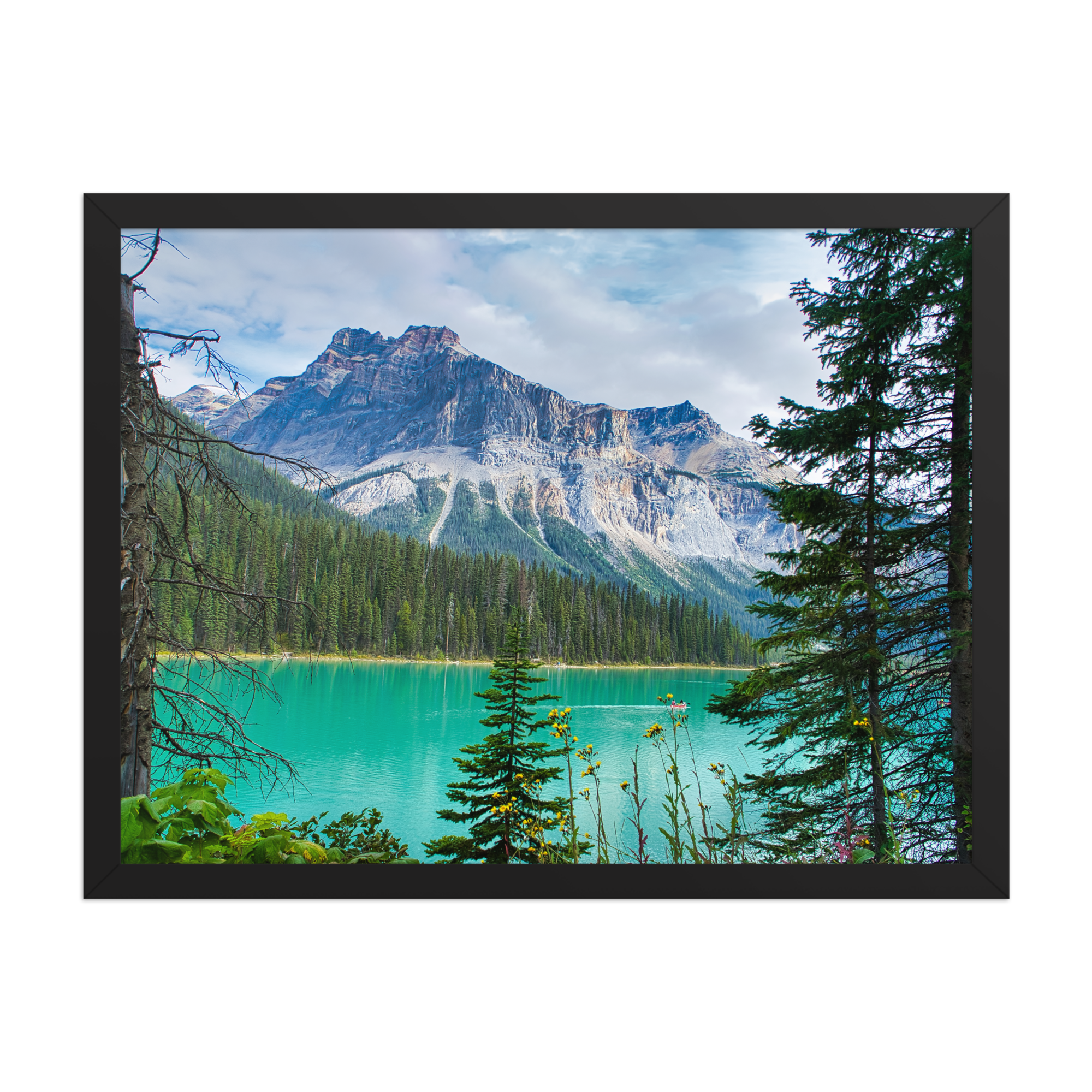 premium-luster-photo-paper-framed-poster-(in)-black-18x24-front-6a1db84e839dd.png