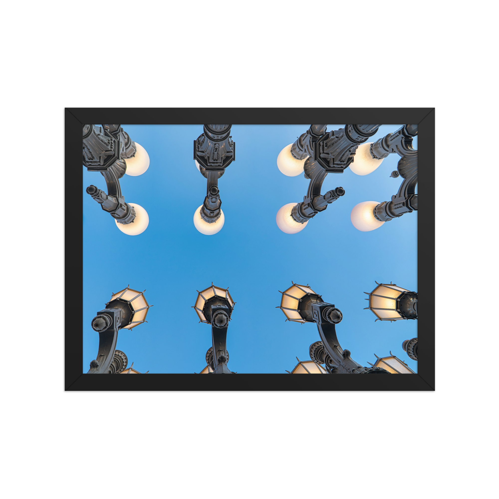premium-luster-photo-paper-framed-poster-(in)-black-12x16-front-6a1db889bab31.png