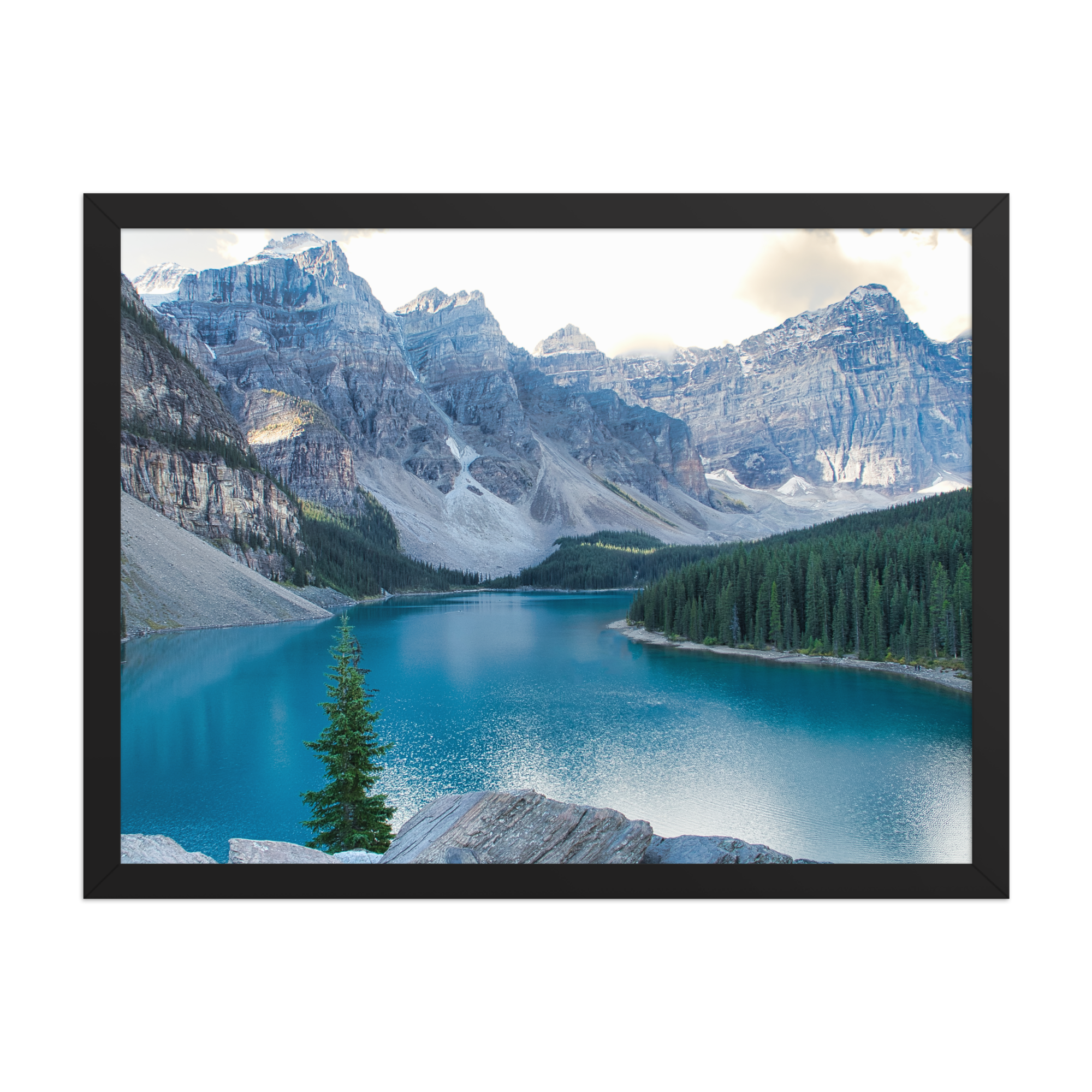 premium-luster-photo-paper-framed-poster-(in)-black-18x24-front-6a1db87444eab.png