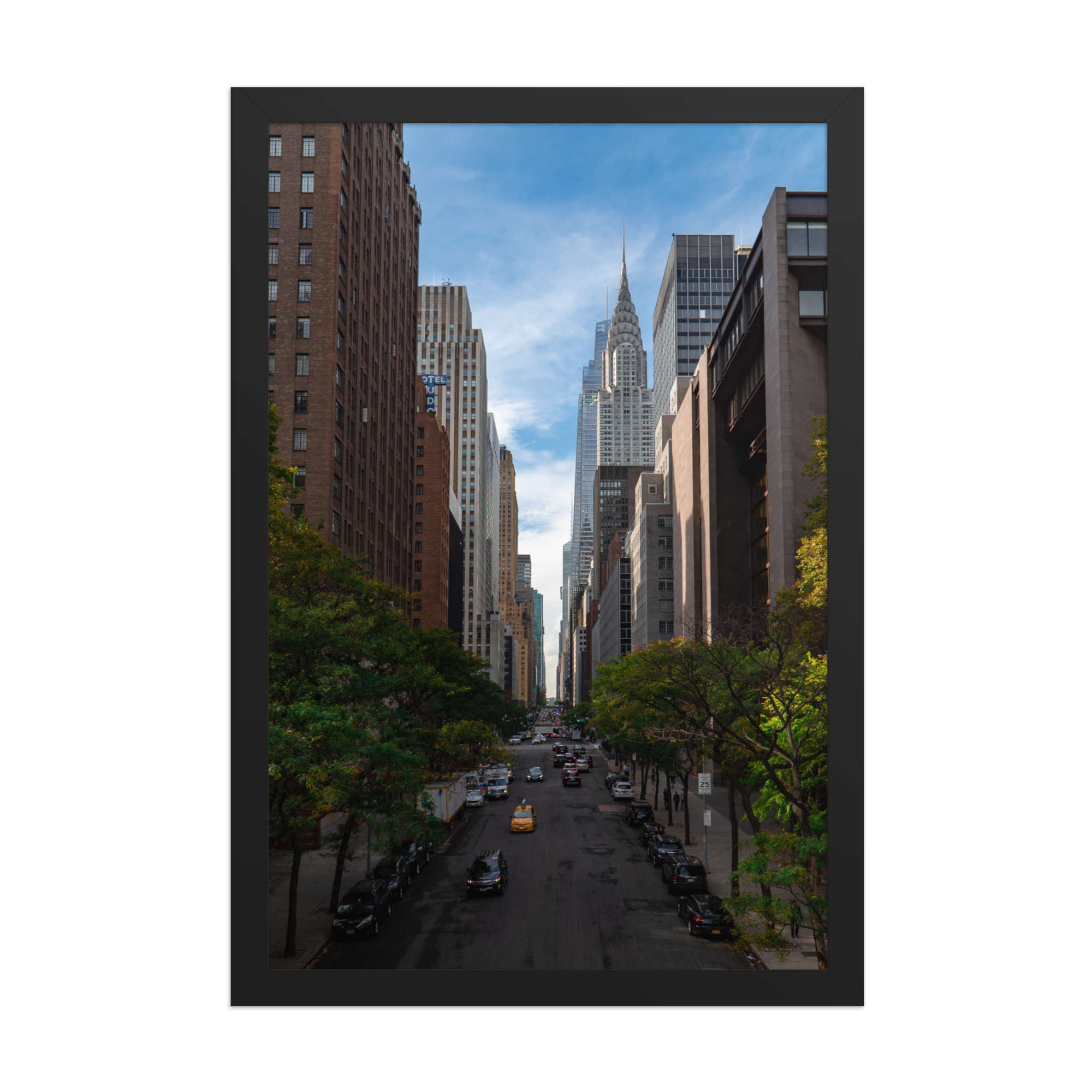 premium-luster-photo-paper-framed-poster-(in)-black-12x18-front-6a1dba272c7d0.png