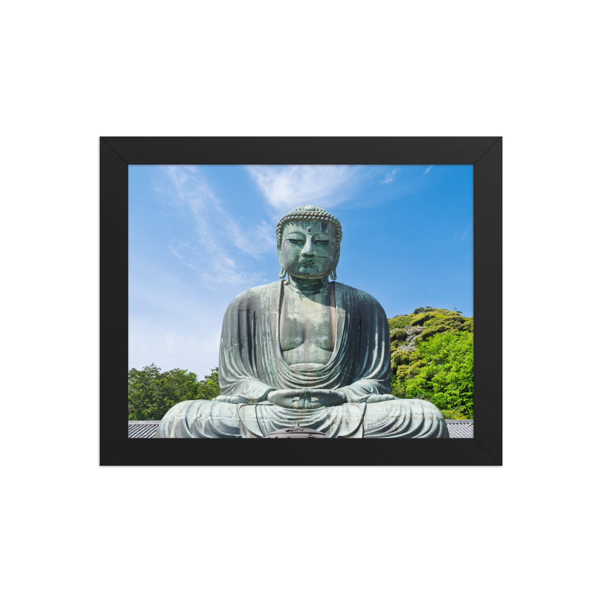 premium-luster-photo-paper-framed-poster-(in)-black-8x10-front-6a1dc6b9878e7.png
