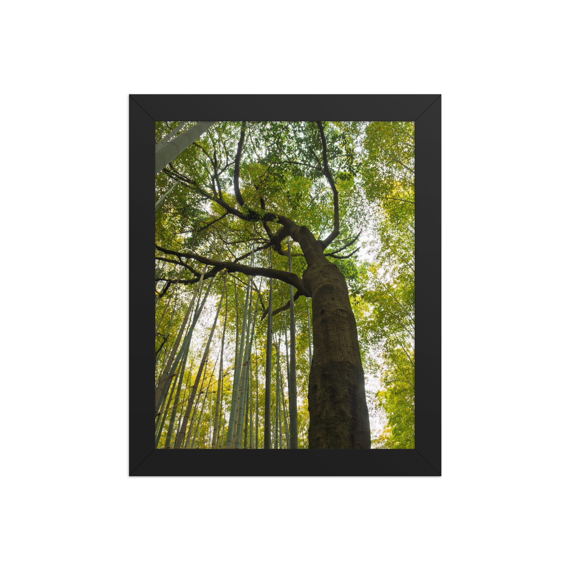premium-luster-photo-paper-framed-poster-(in)-black-8x10-front-6a2058606981a.png