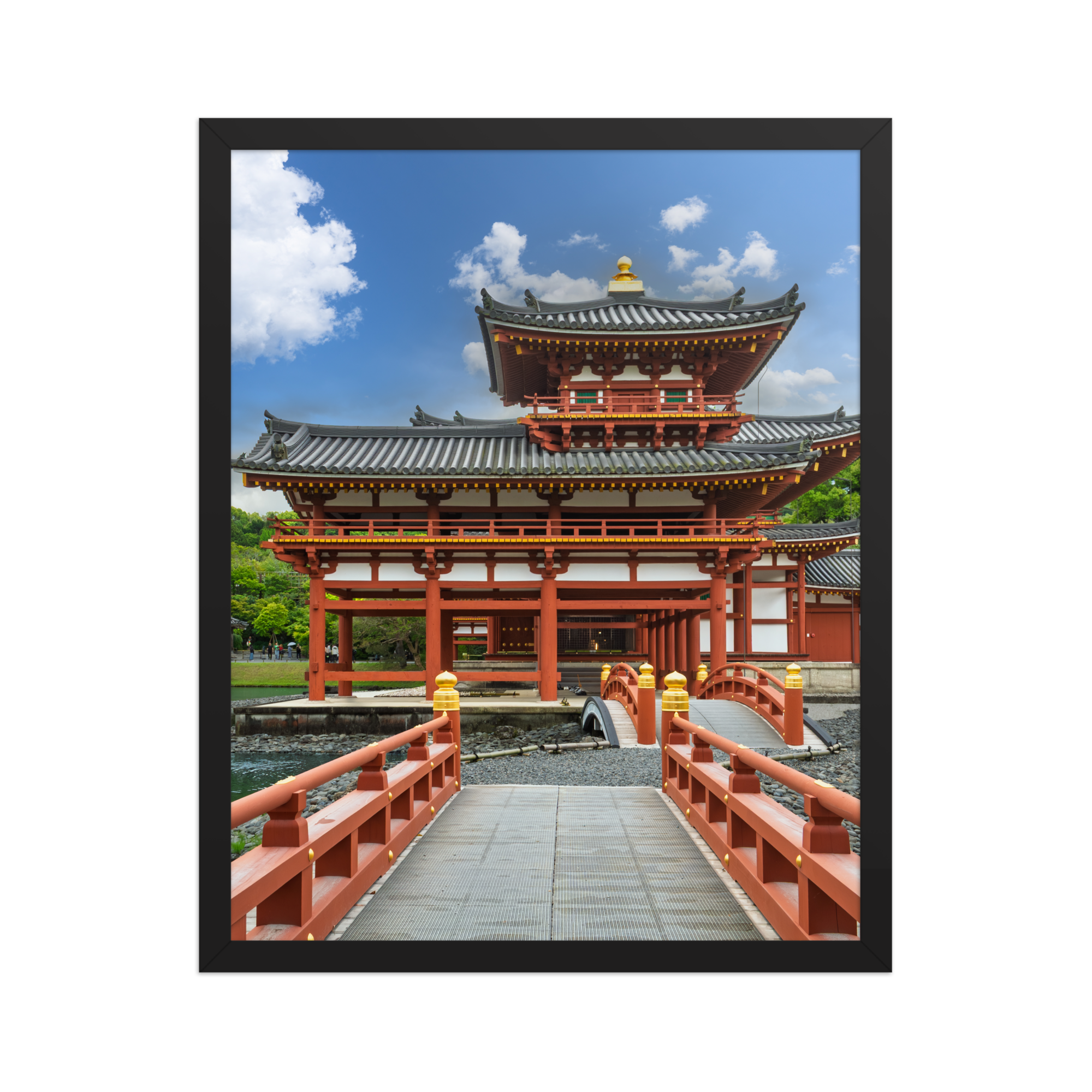 premium-luster-photo-paper-framed-poster-(in)-black-16x20-front-6a205d68df549.png