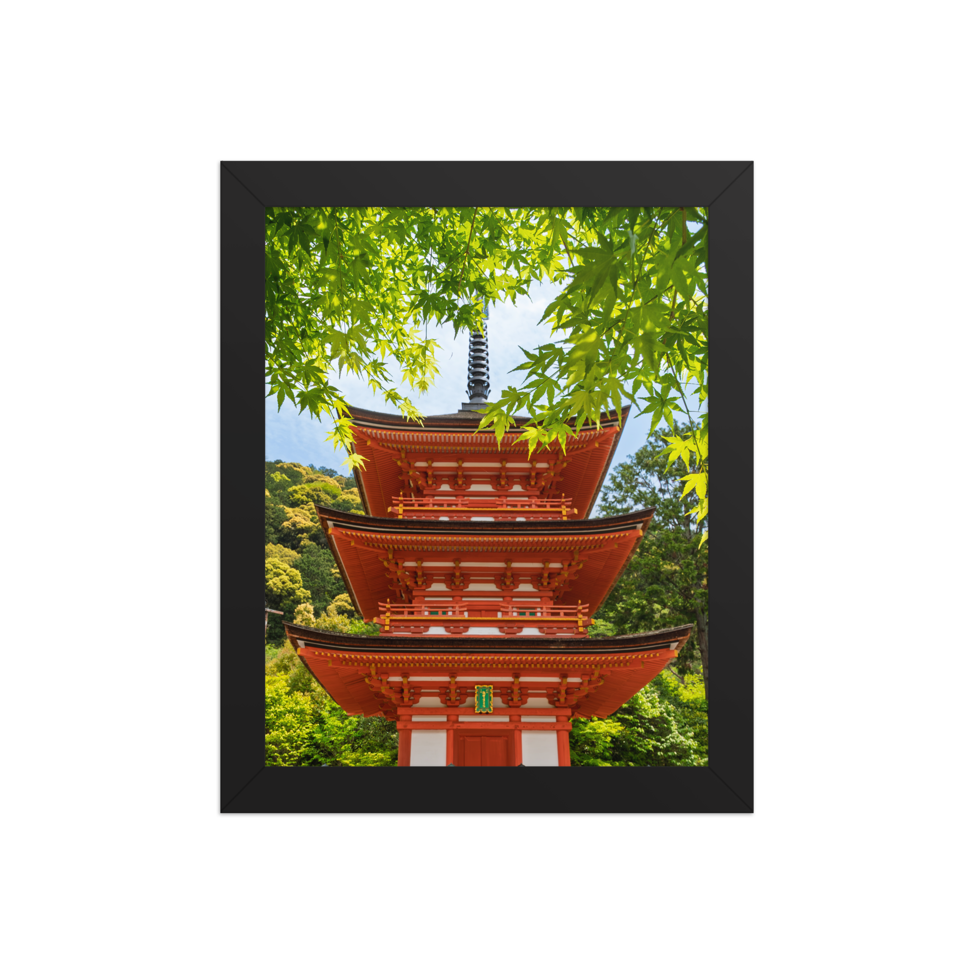 premium-luster-photo-paper-framed-poster-(in)-black-8x10-front-6a205e4dac5a2.png