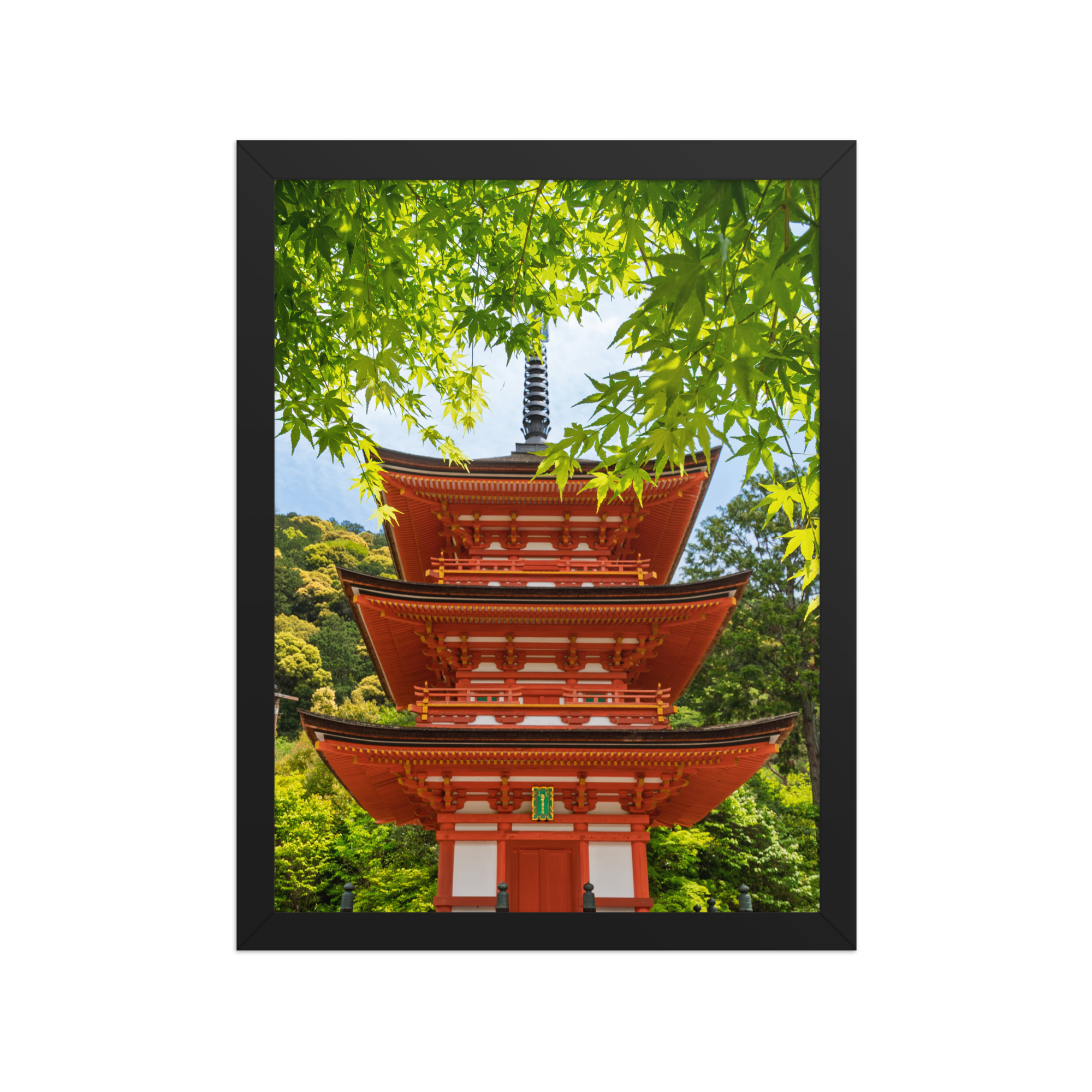 premium-luster-photo-paper-framed-poster-(in)-black-12x16-front-6a205e4dad941.png