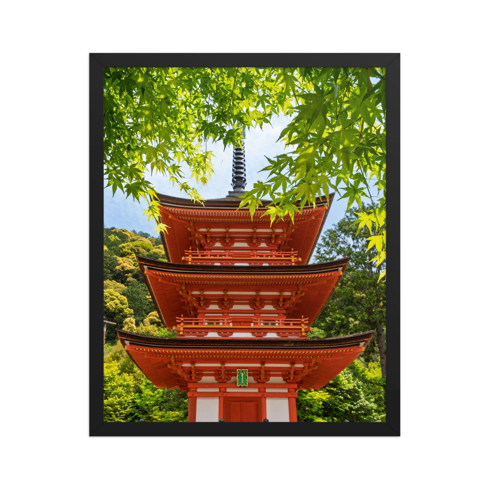 premium-luster-photo-paper-framed-poster-(in)-black-16x20-front-6a205e4dae324.png