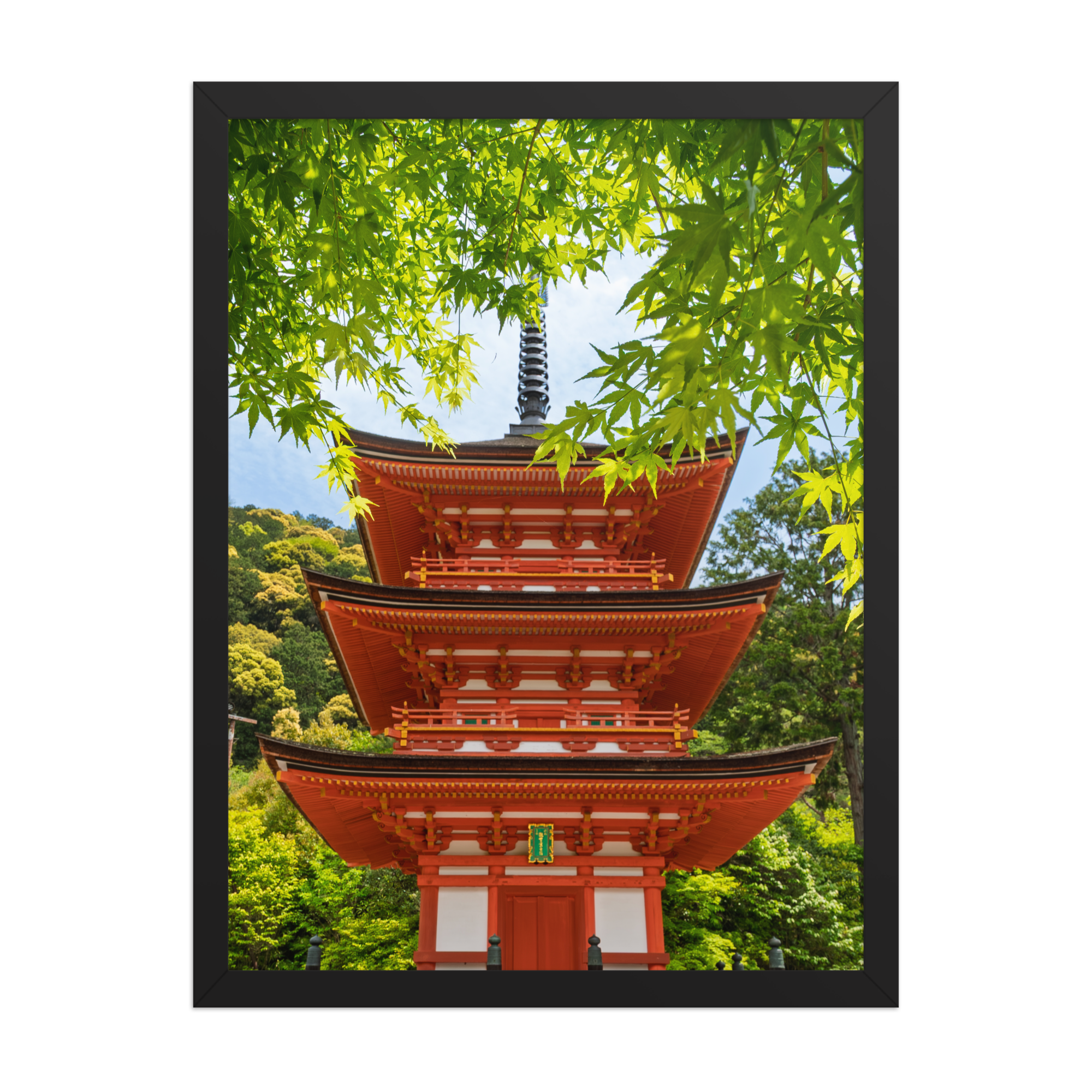 premium-luster-photo-paper-framed-poster-(in)-black-18x24-front-6a205e4dae7d4.png