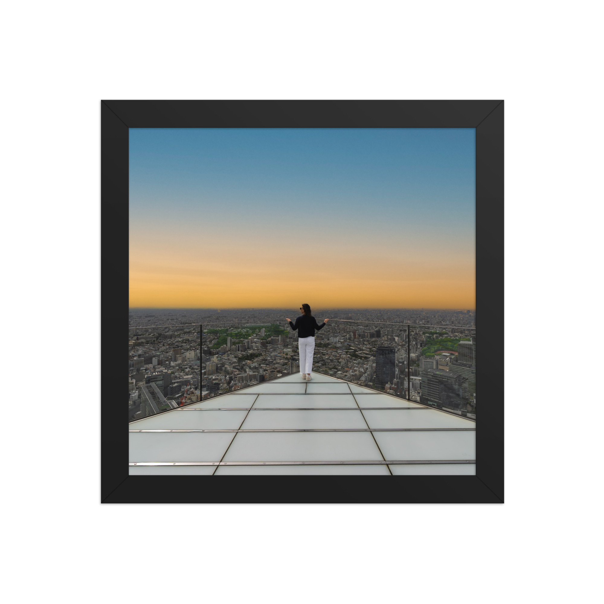 premium-luster-photo-paper-framed-poster-(in)-black-10x10-front-6a205faa2b768.png