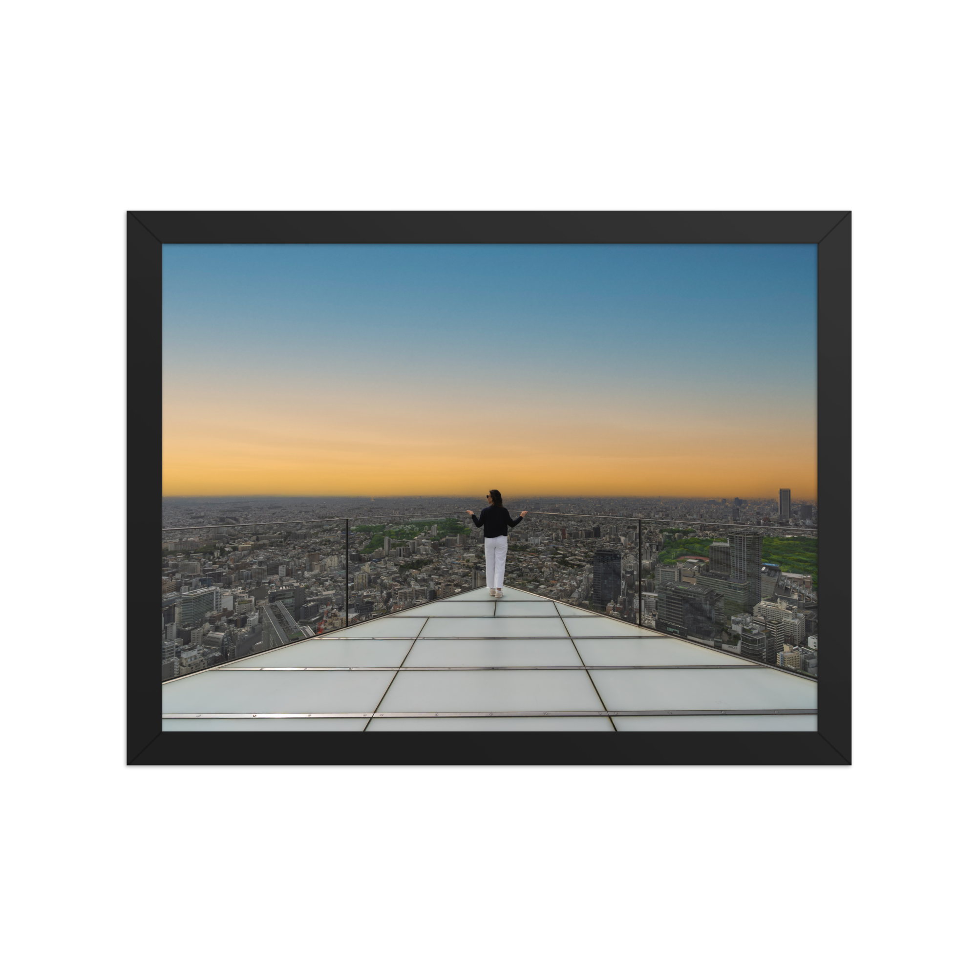 premium-luster-photo-paper-framed-poster-(in)-black-12x16-front-6a205faa3219d.png