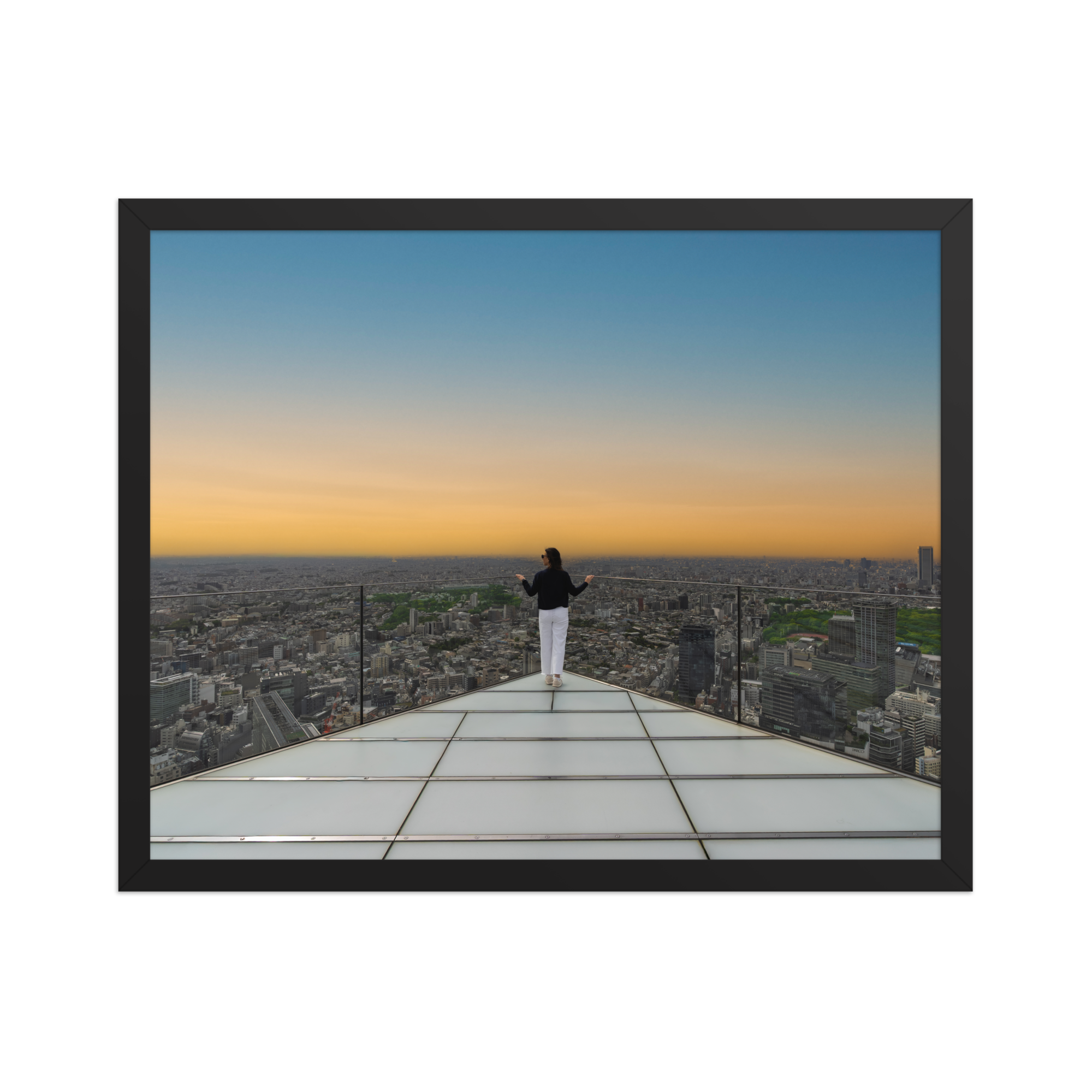 premium-luster-photo-paper-framed-poster-(in)-black-16x20-front-6a205faa33f09.png