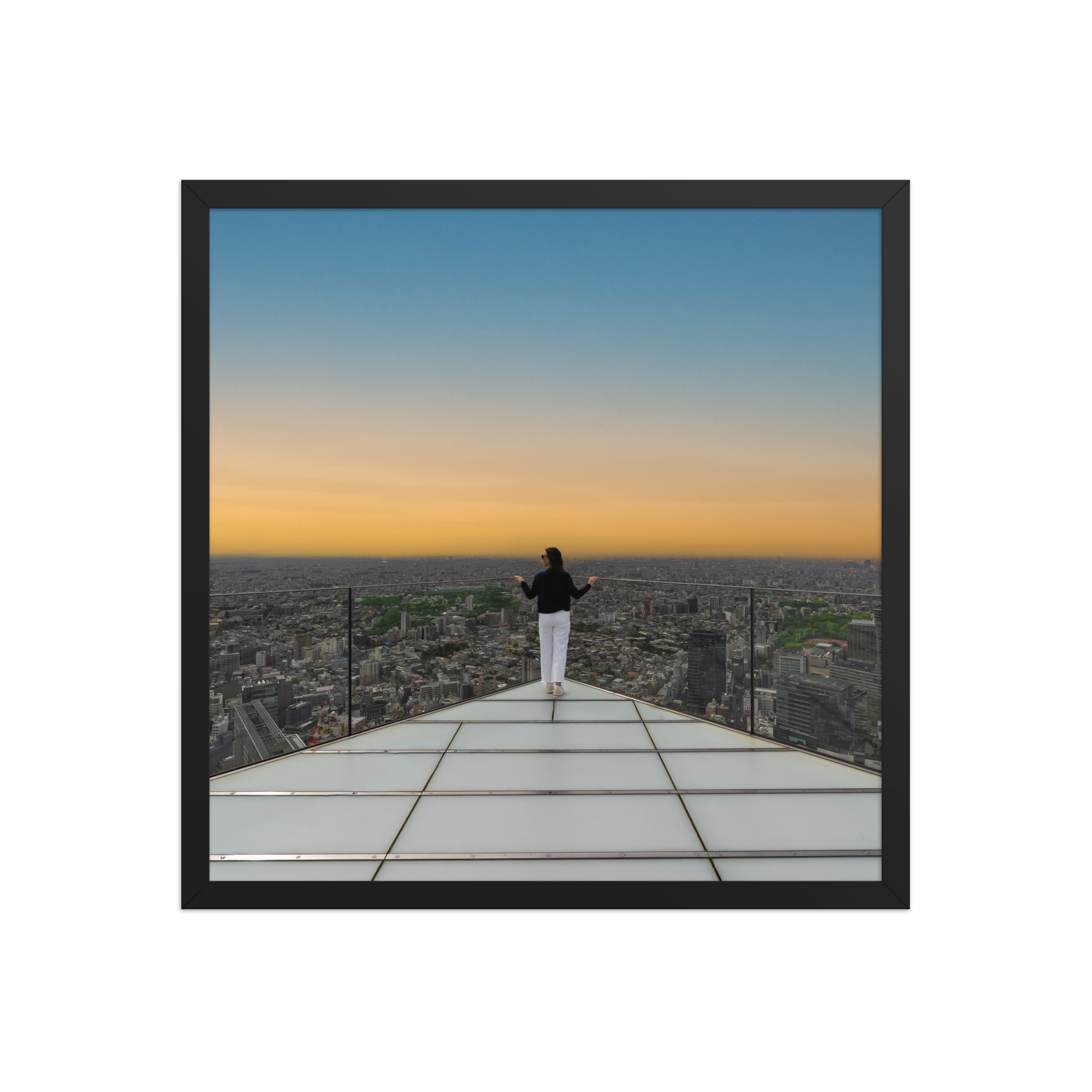 premium-luster-photo-paper-framed-poster-(in)-black-18x18-front-6a205faa30339.png