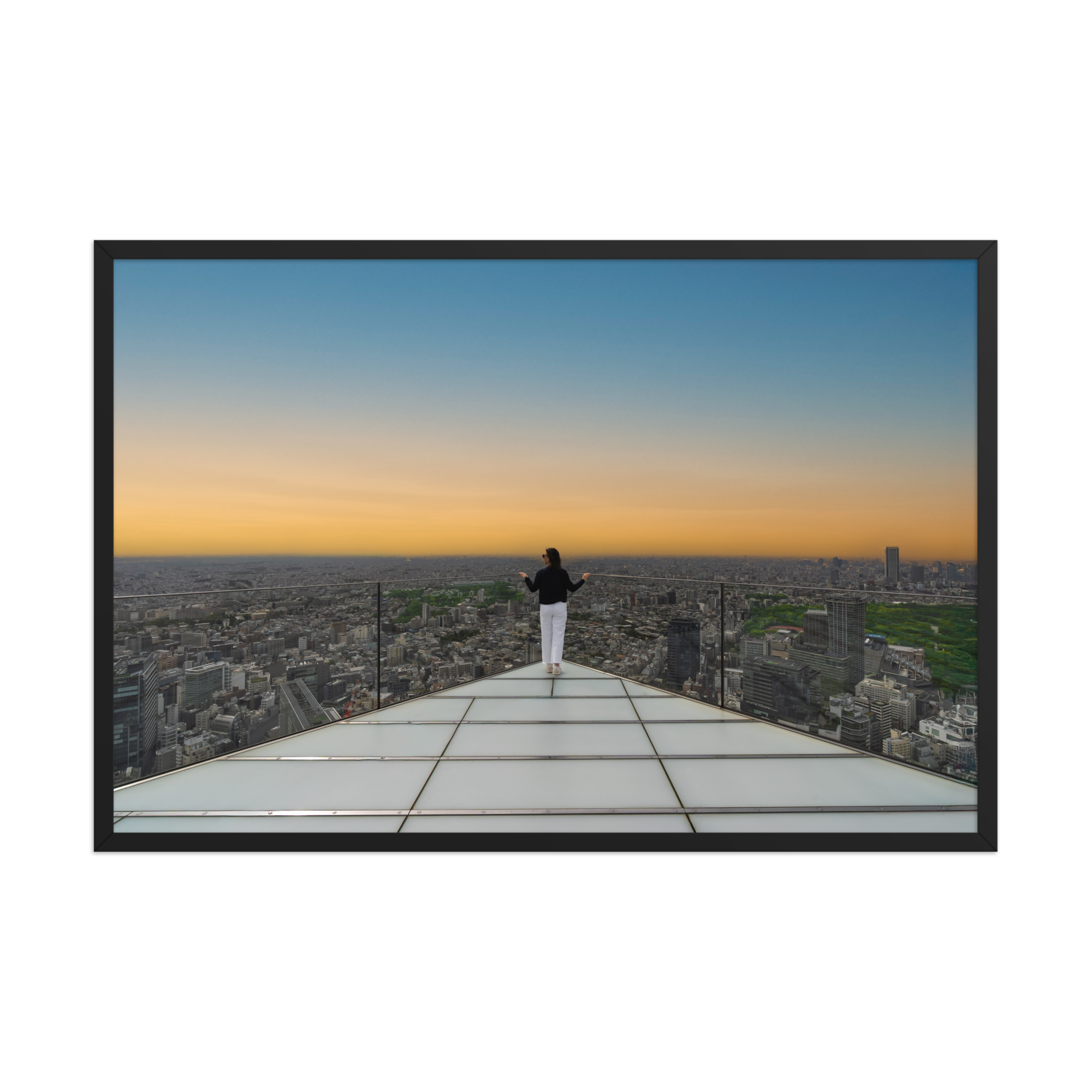 premium-luster-photo-paper-framed-poster-(in)-black-24x36-front-6a205faa35cb5.png