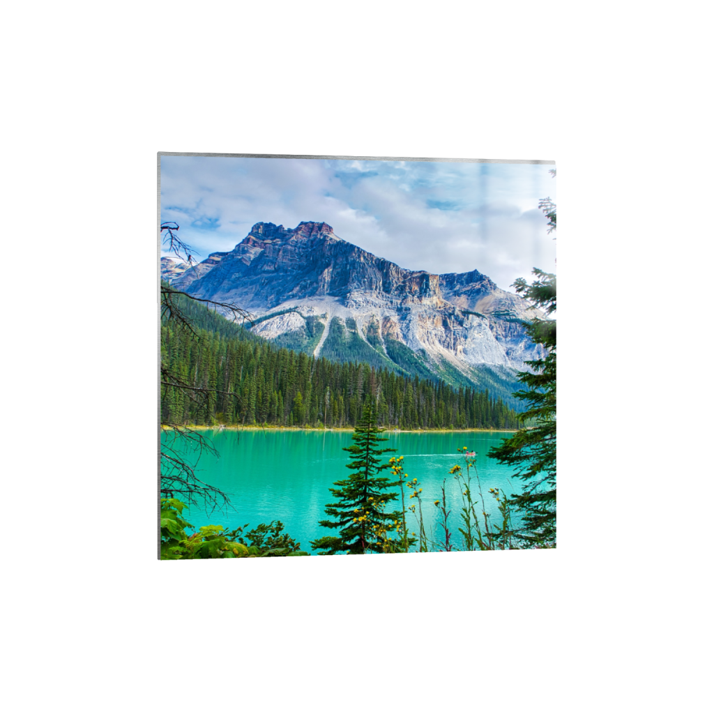 ptq_13_0_297_0_2588_2588_0_false_ffffff_0_0_.png