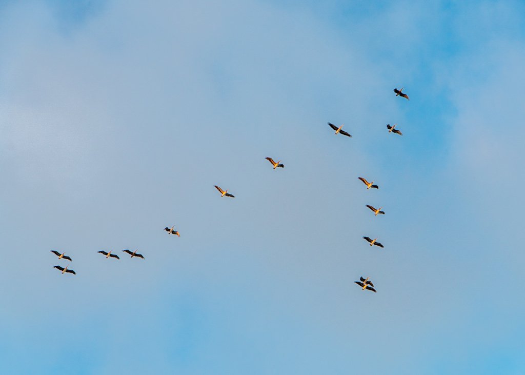 ptq_7_7_0_0_1792_1280_0_false_ffffff_0_0_.png