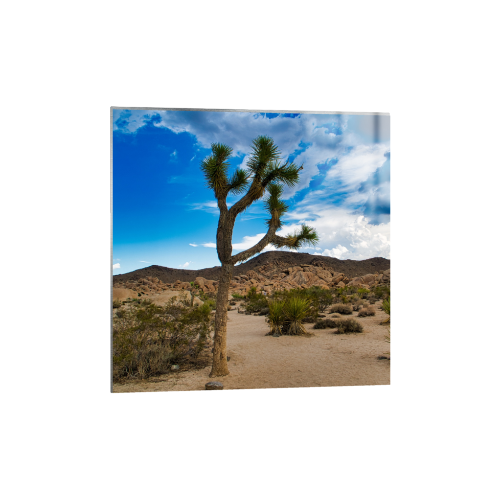 ptq_13_0_251_0_2648_2648_0_false_ffffff_0_0_.png